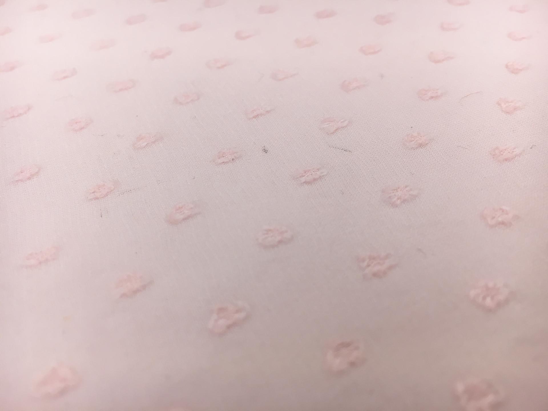 Dotted Swiss Silk Chiffon in Baby Pink0