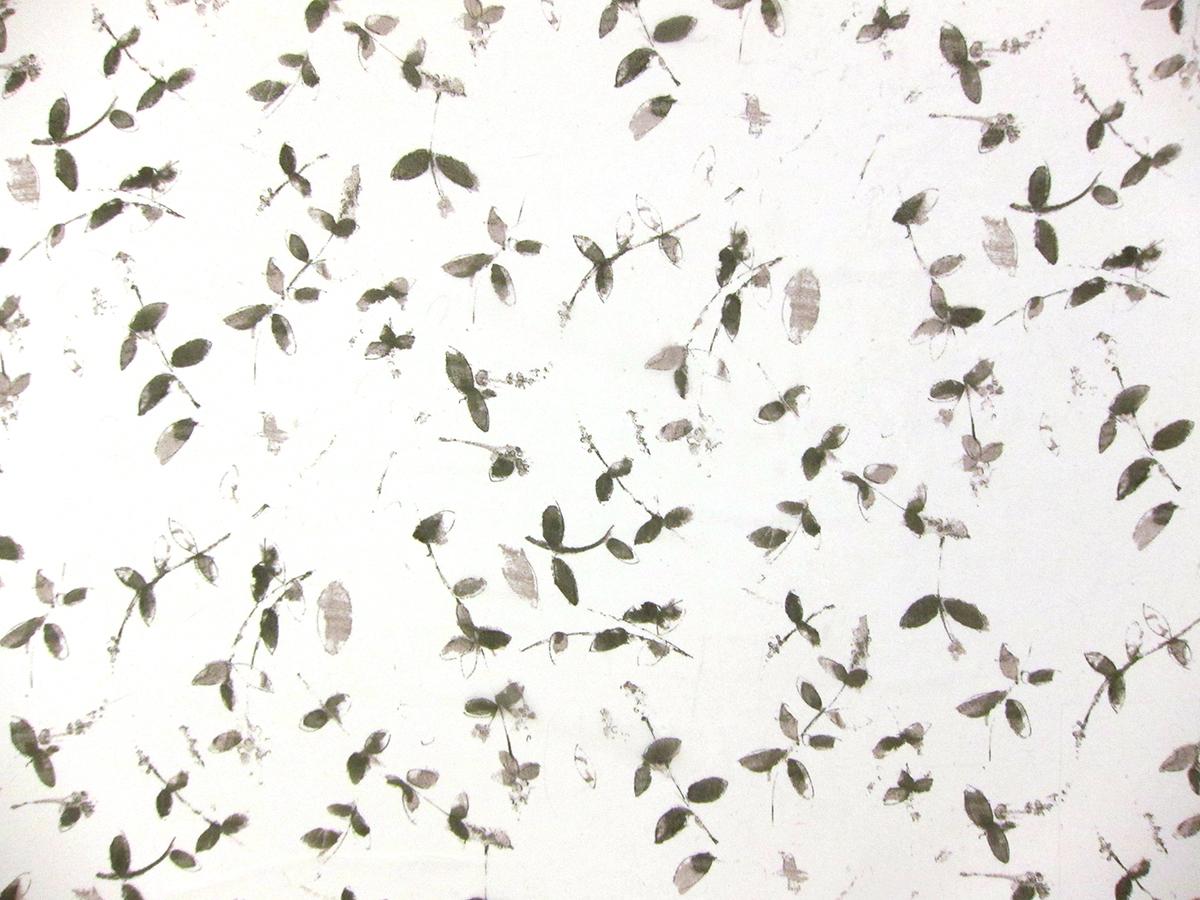 Printed Silk Chiffon0