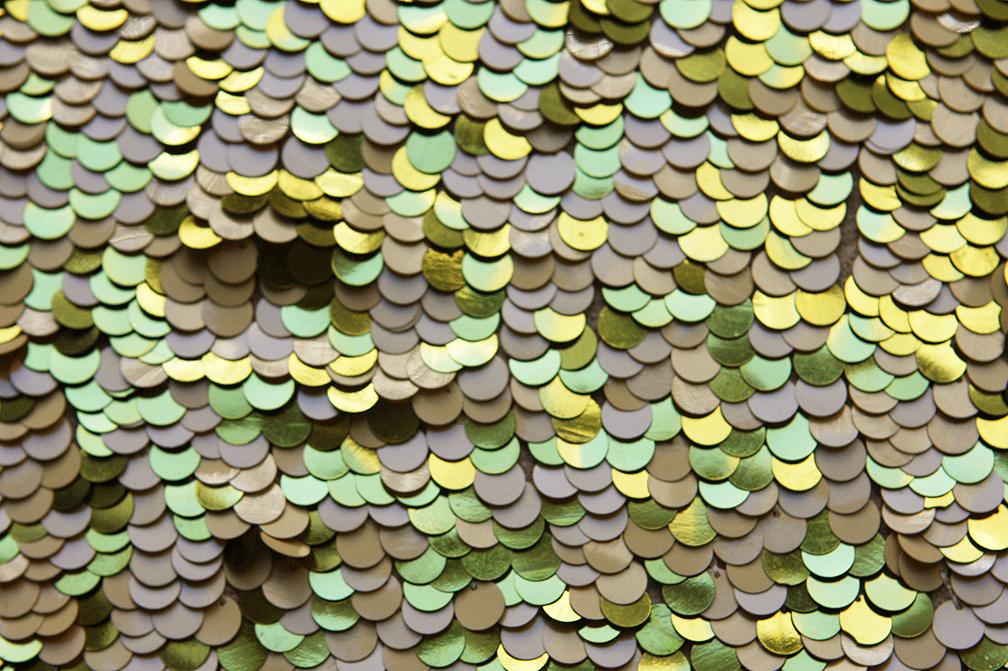 Paillettes on Silk Chiffon1