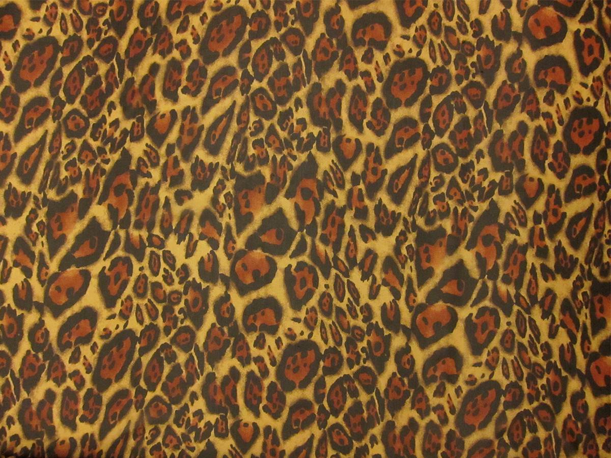 Printed Silk Chiffon0