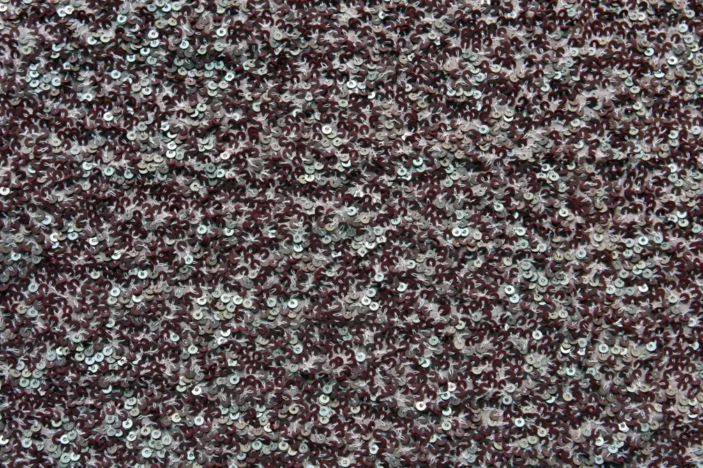 Sequins on Silk Chiffon0