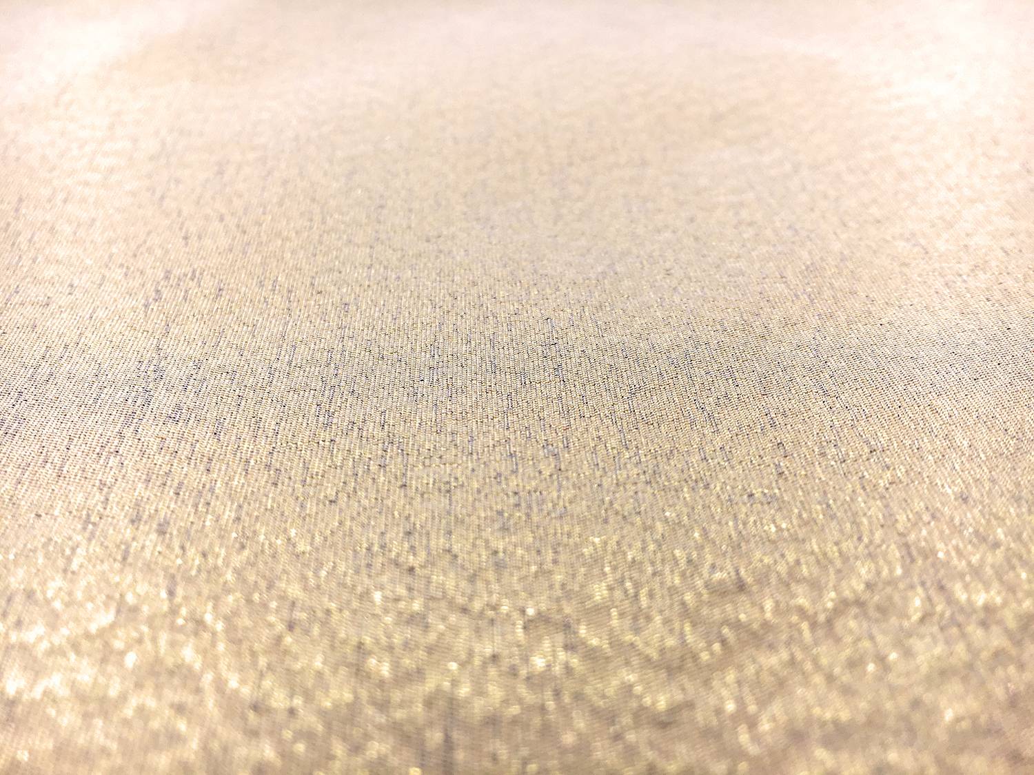 Silk Lamé Iridescent Taffeta1