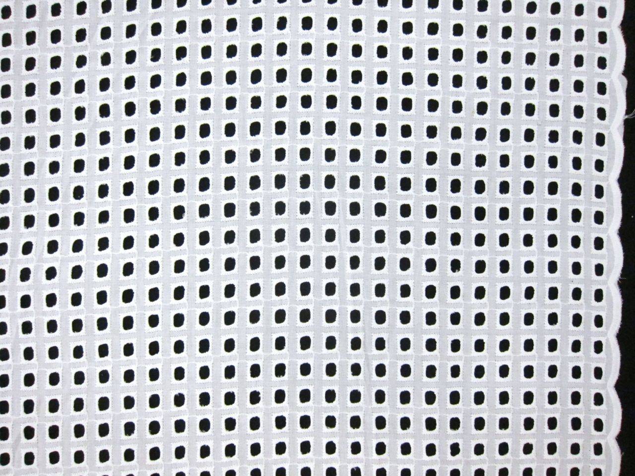 Cotton Eyelet in White0