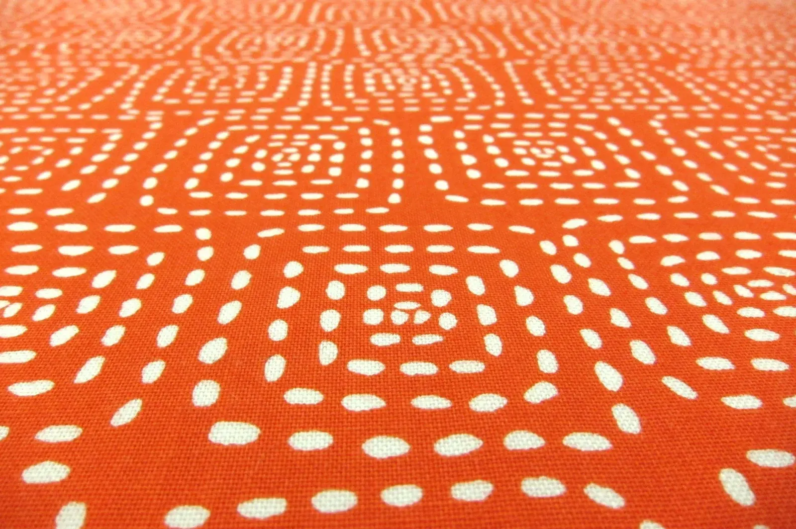 Cotton Broadcloth Print2