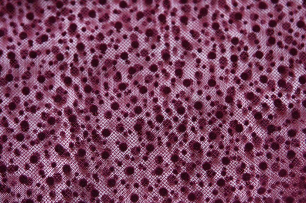 Flocking on Tulle2