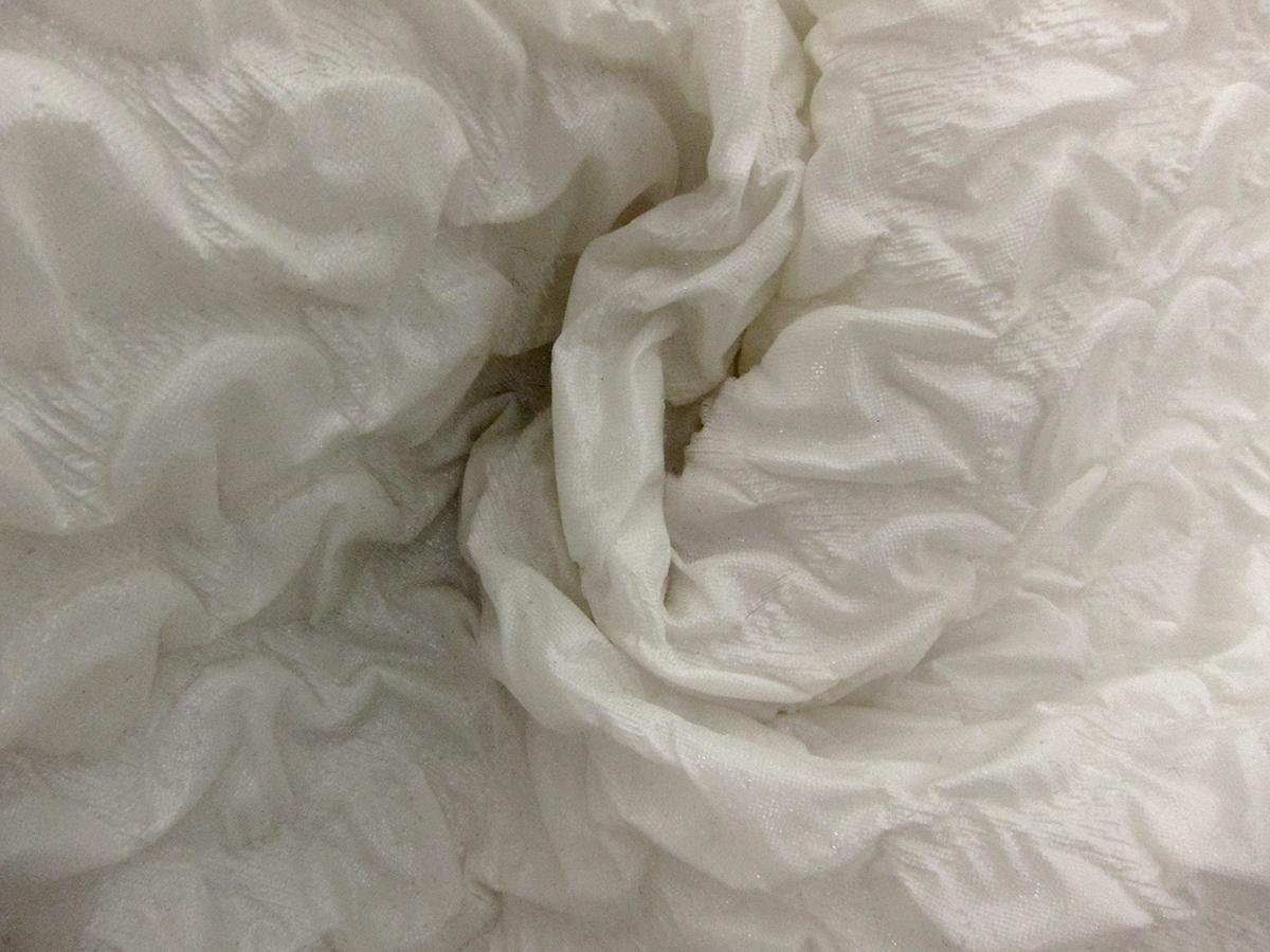 Silk Blend Organza Cloqué1