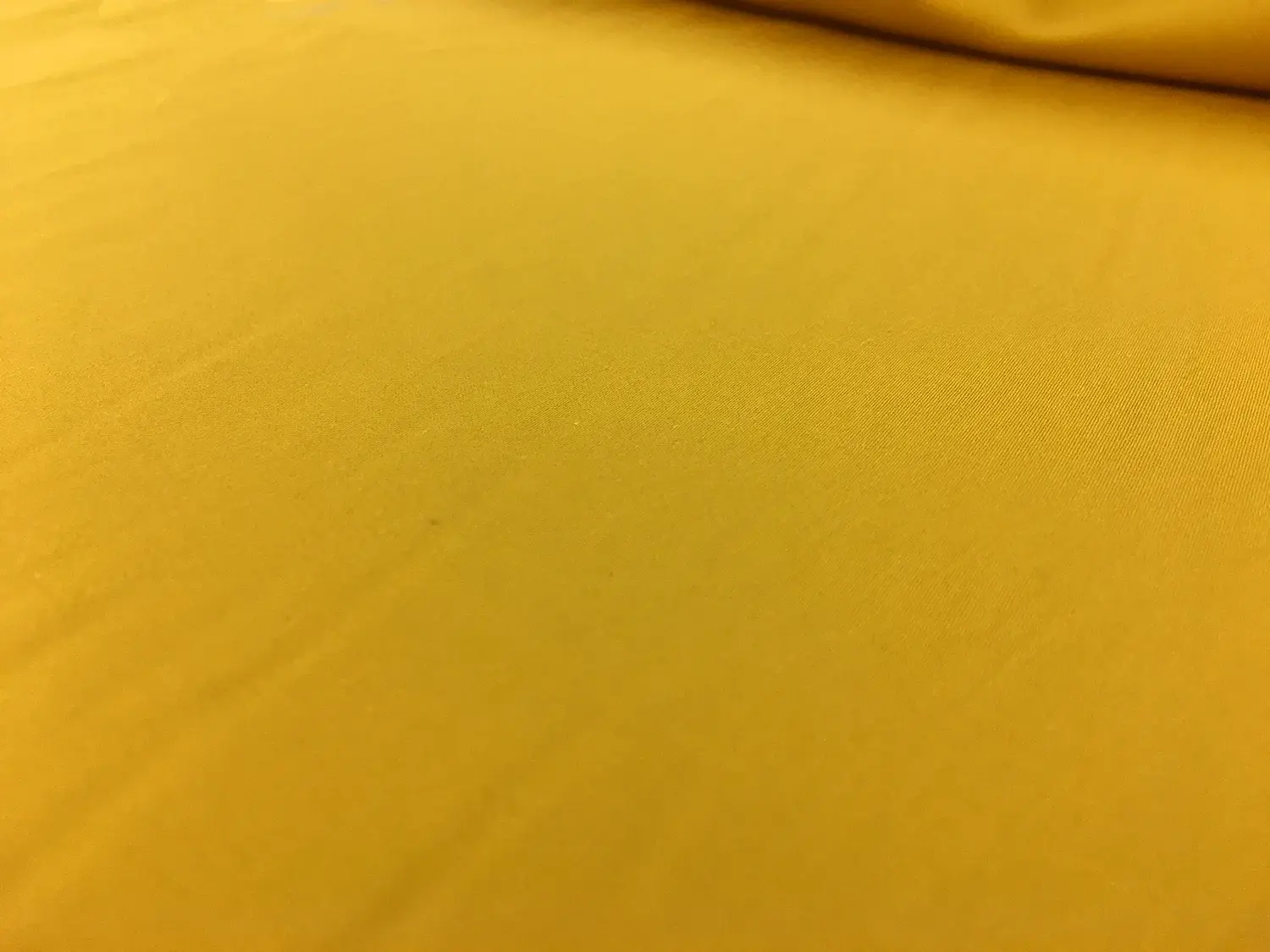 Egyptian Cotton Sateen in Gold