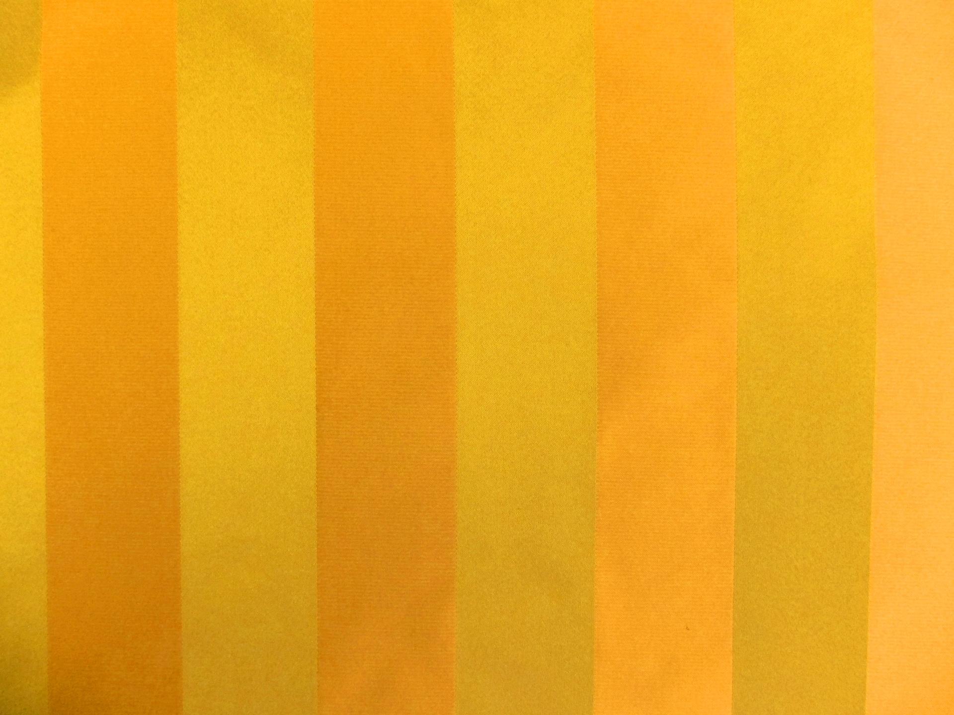 Silk Stripe Brocade0