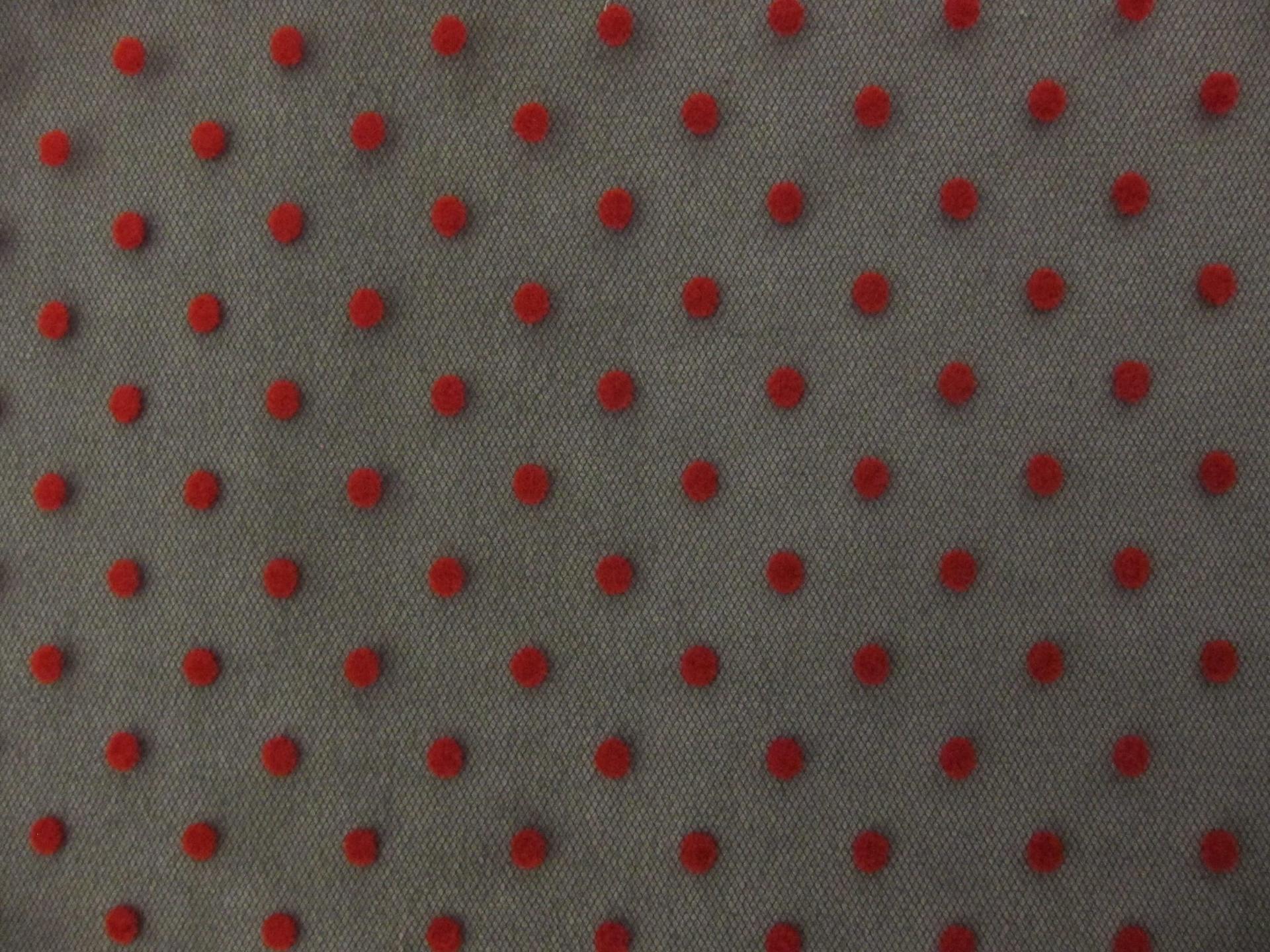 Flocking on Tulle1