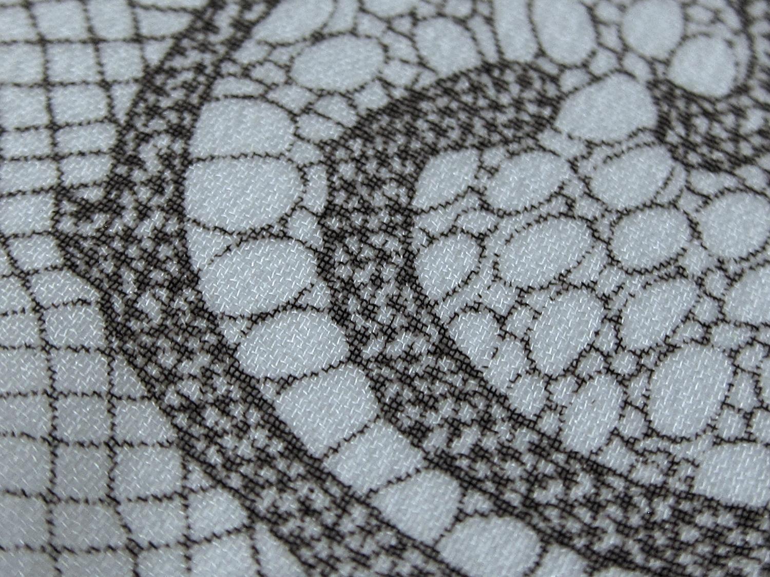 Printed Silk Chiffon with Floral Lace Patterns2