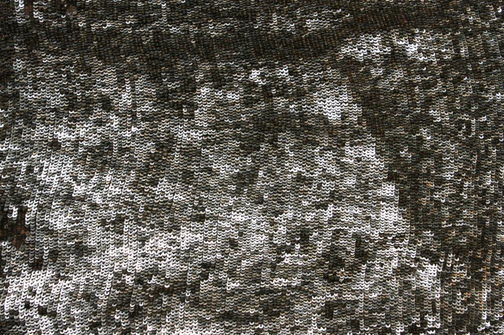 Sequins on Silk Chiffon0