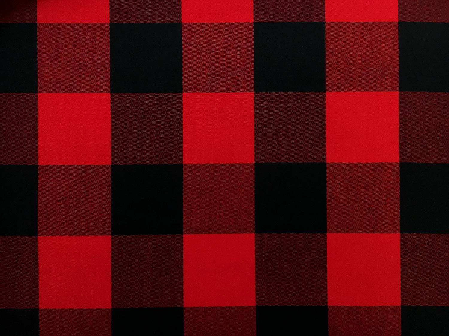 Carolina Cotton Gingham in in Scarlet0