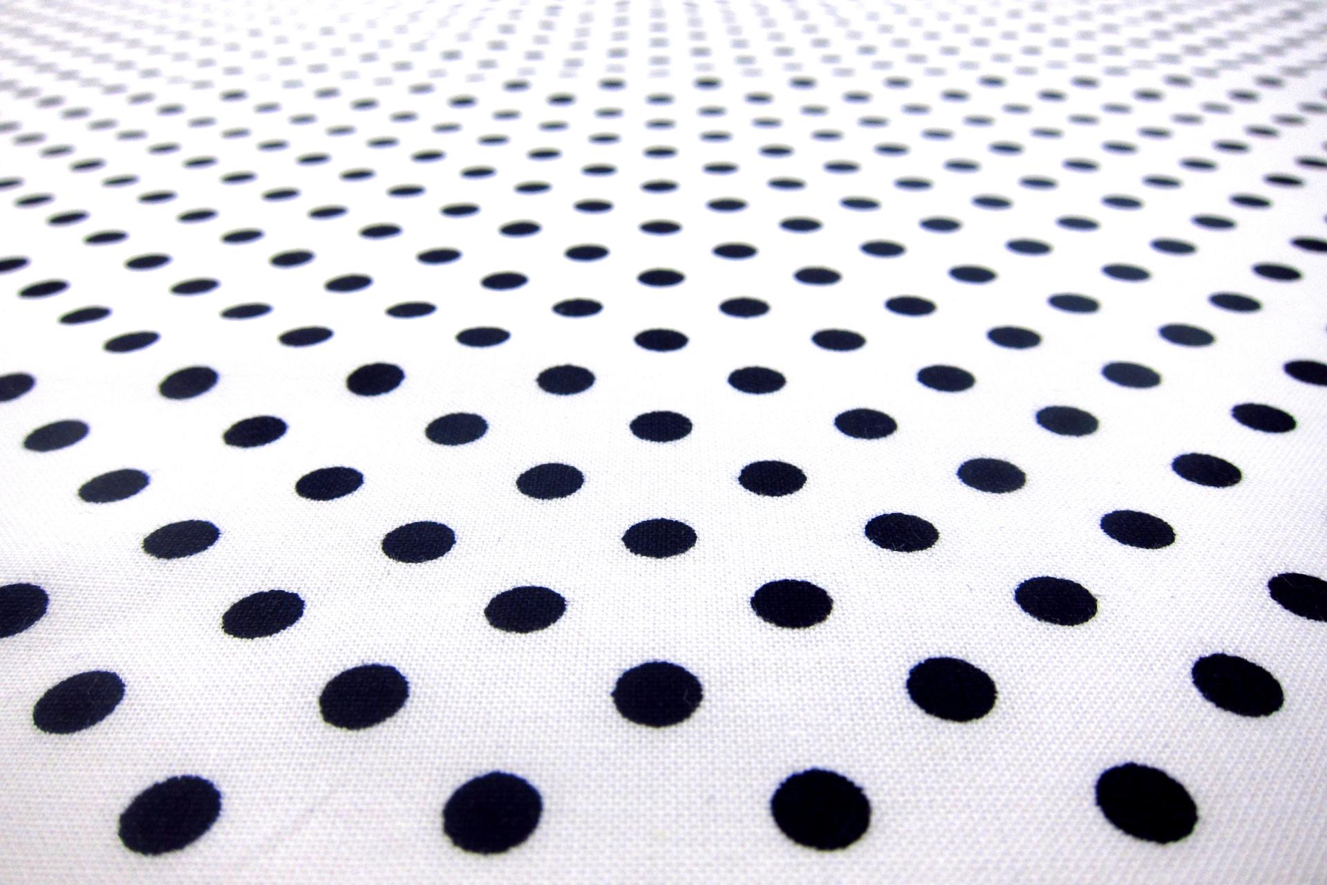 Cotton Broadcloth Print