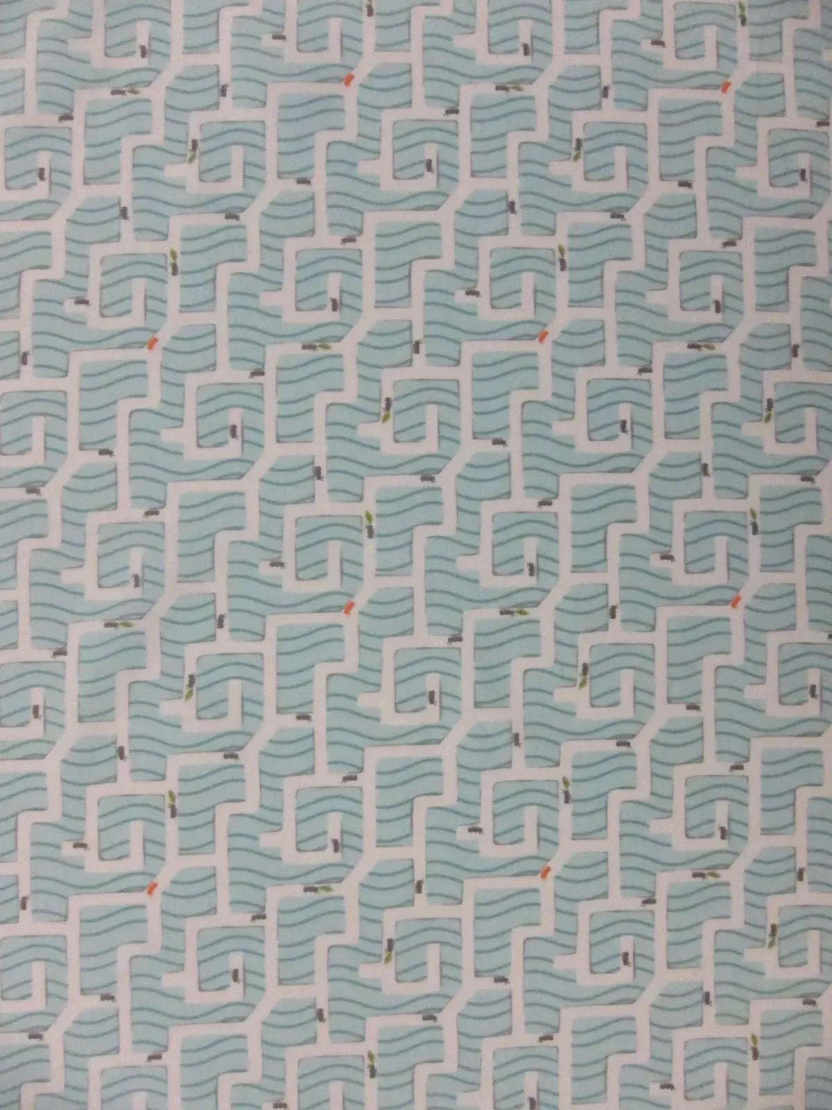Cotton Broadcloth Print0