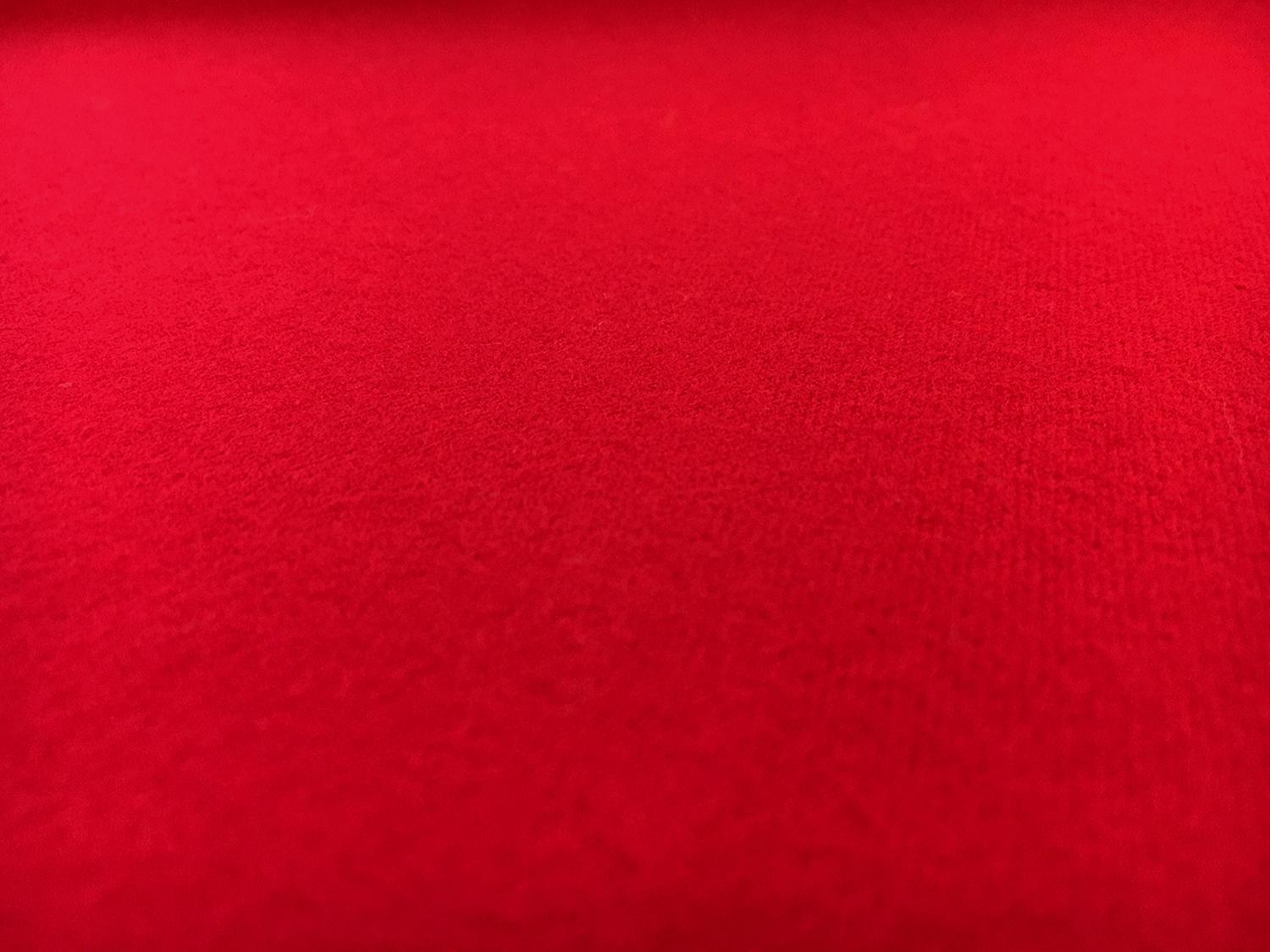 Cotton 2-Ply Flannel in Red