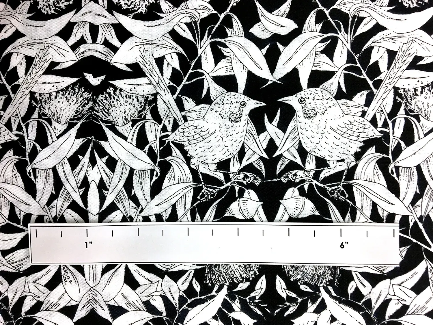 Australian Cotton Print With Aboriginal Motif1