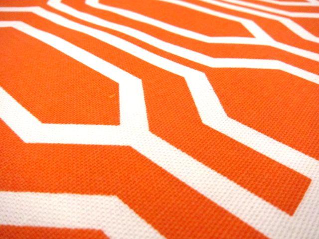 Cotton Canvas Geometric Repeat Print2