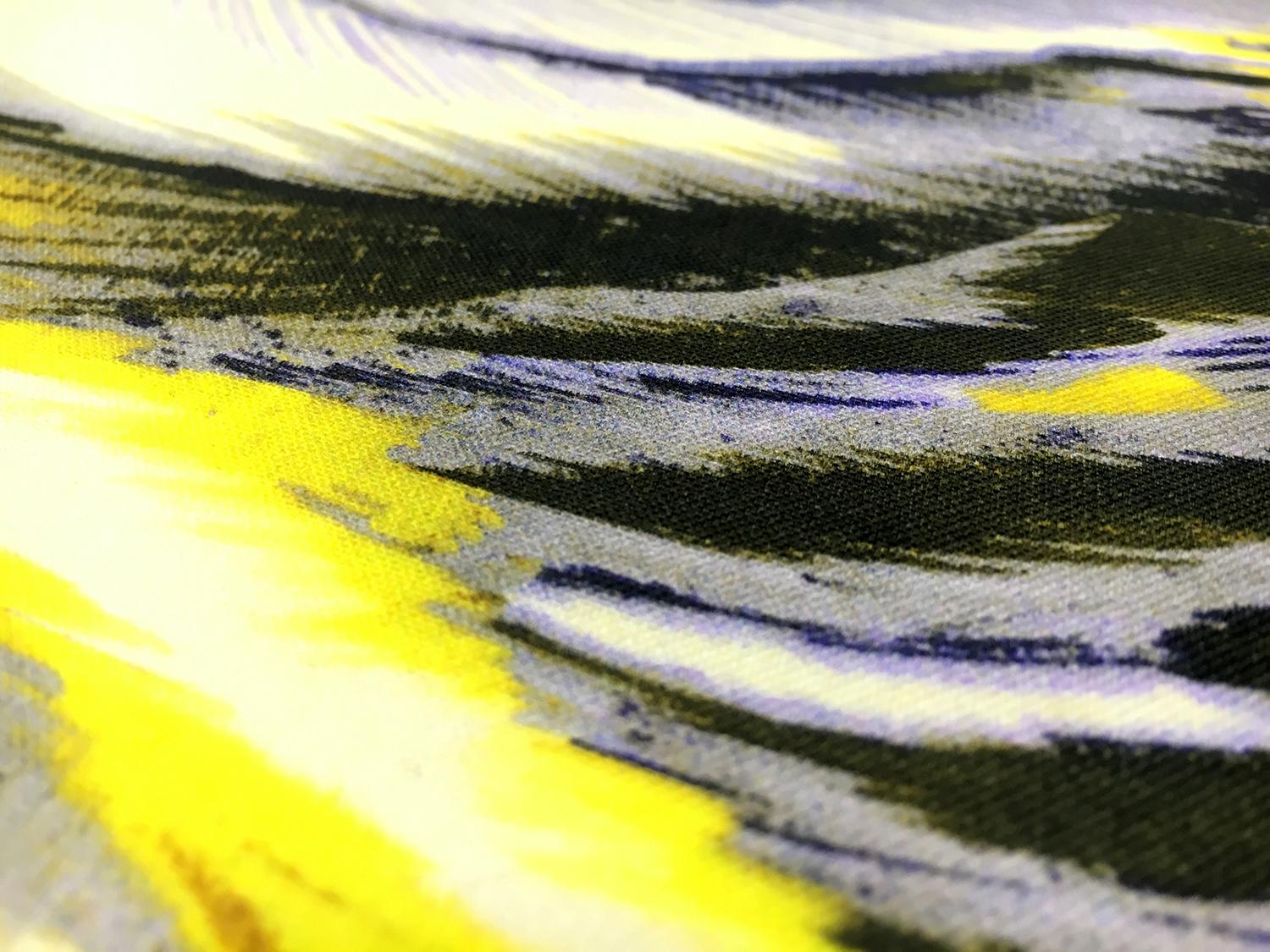 Printed Silk Gazar with Extra Large Feathers2