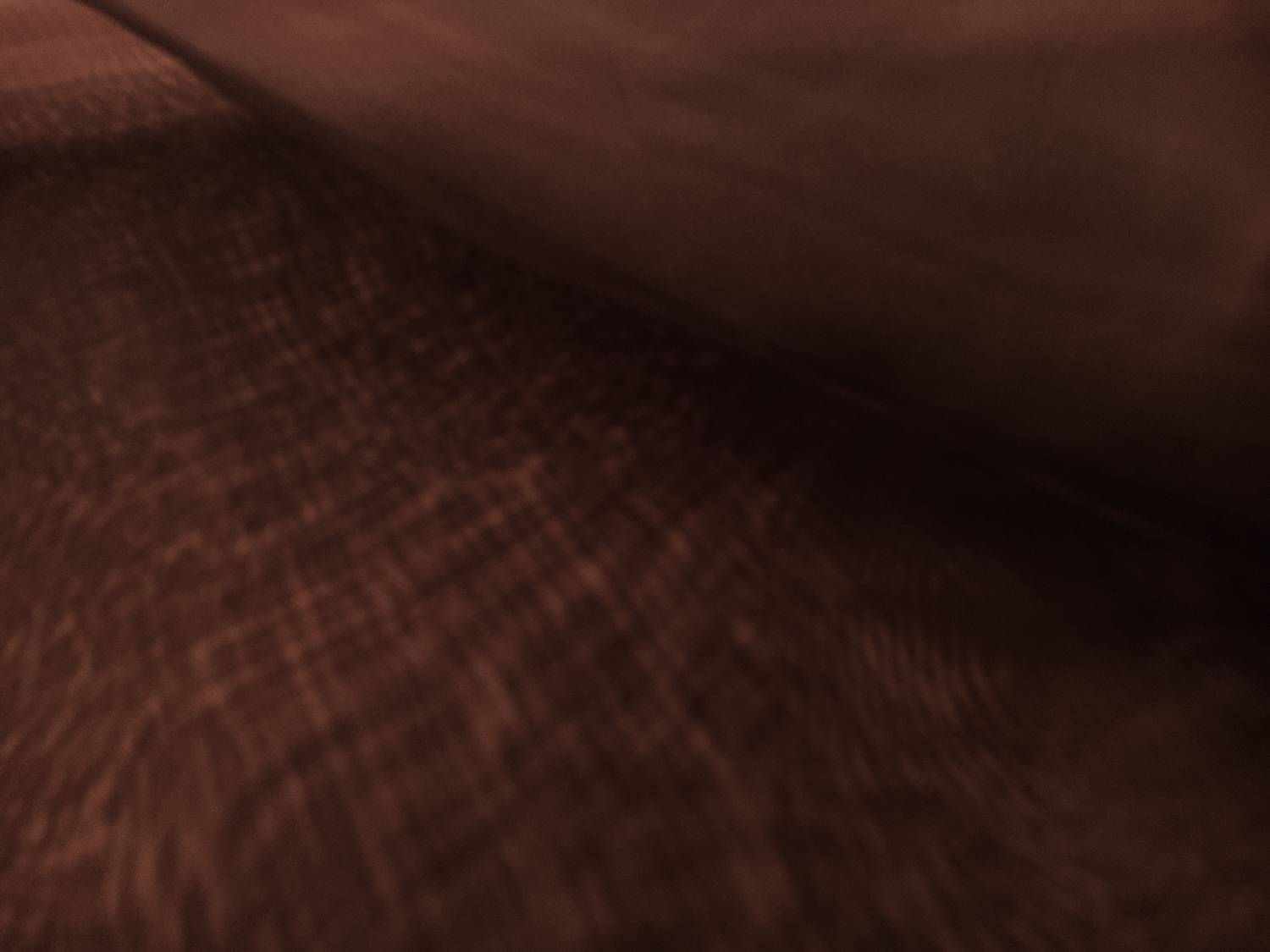 Japanese Polyester Extra Fine Organza in Brown2