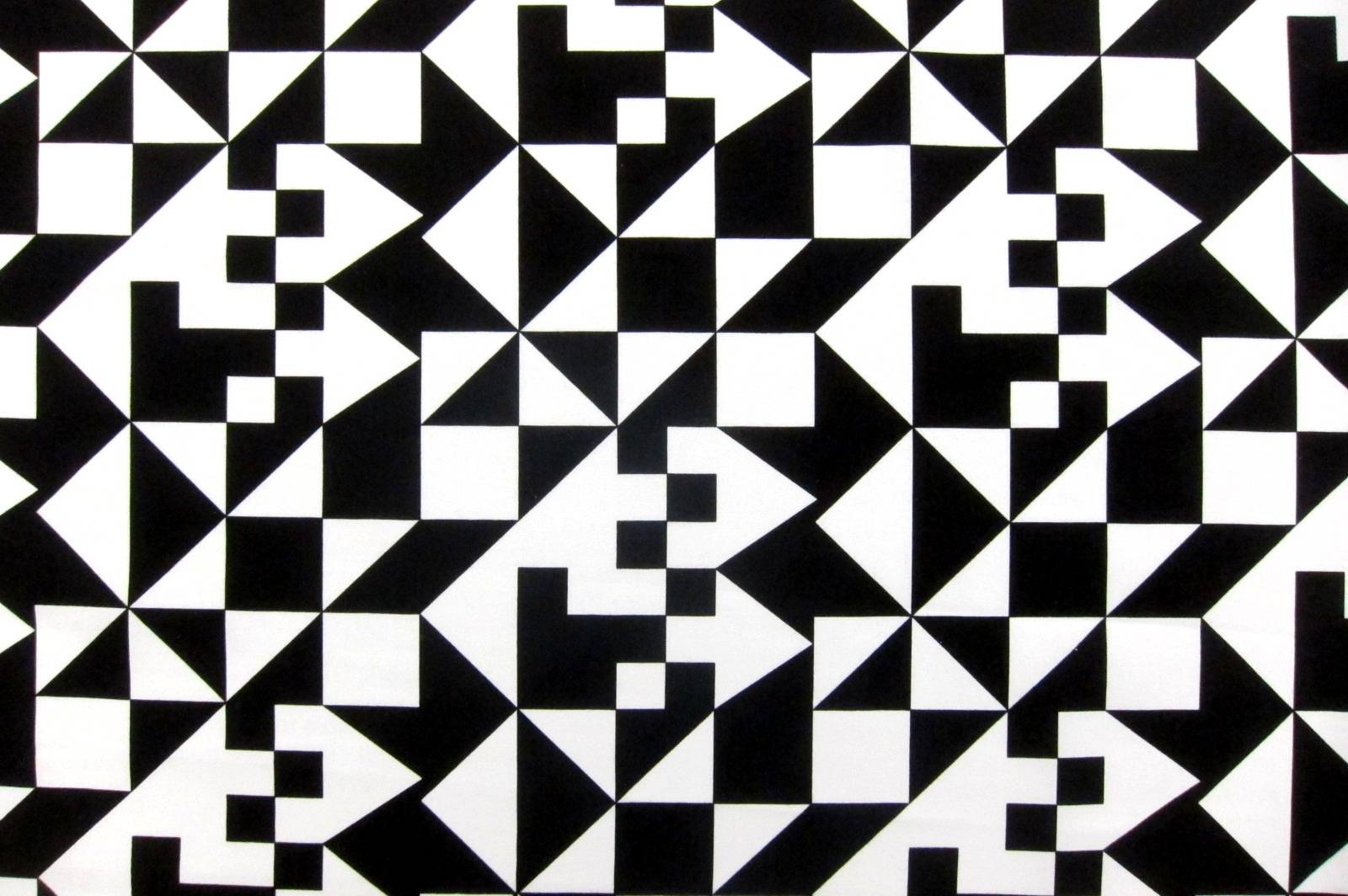 Cotton Broadcloth Print0