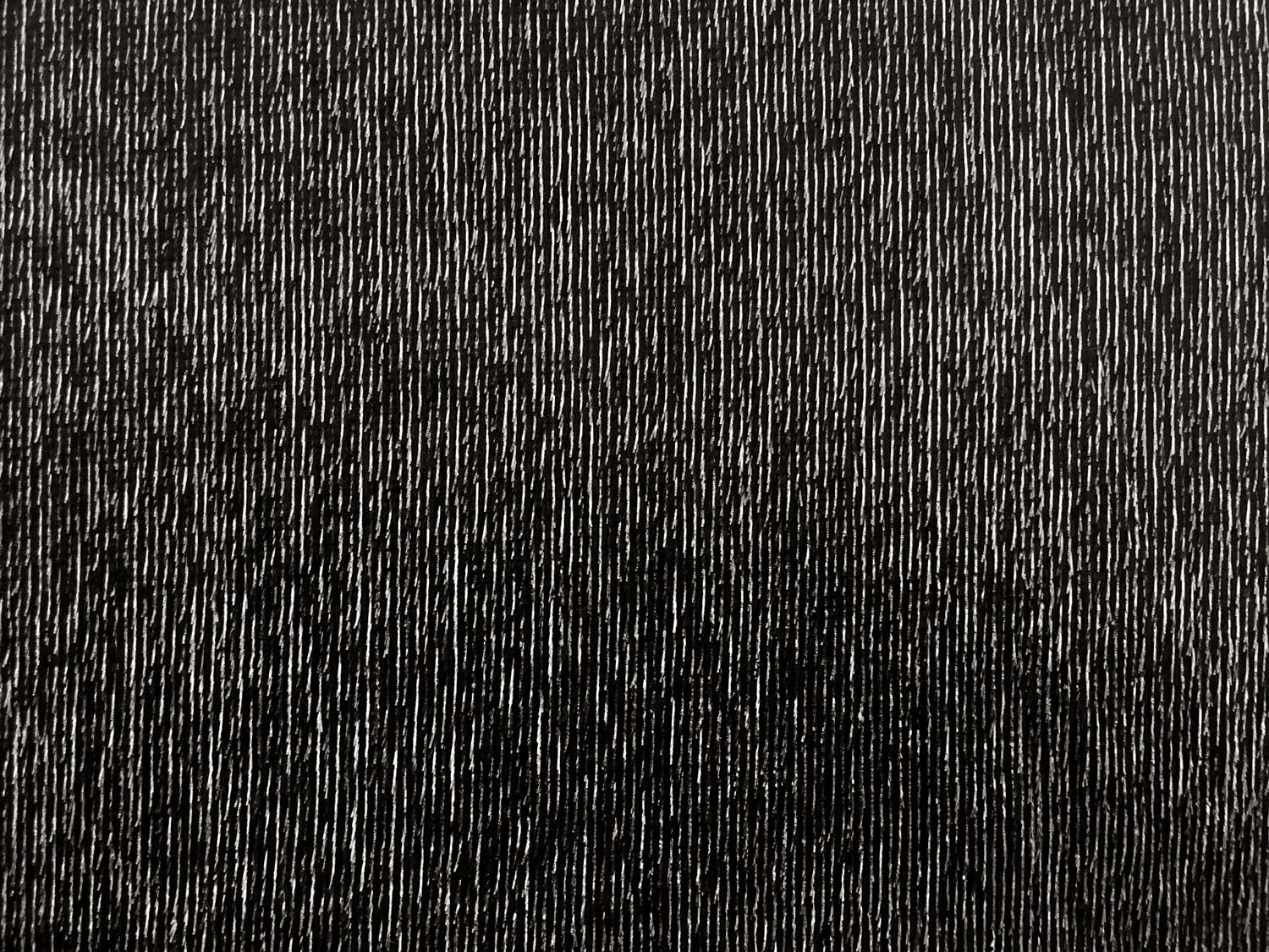 Silk Lurex Panne Velvet in Black0