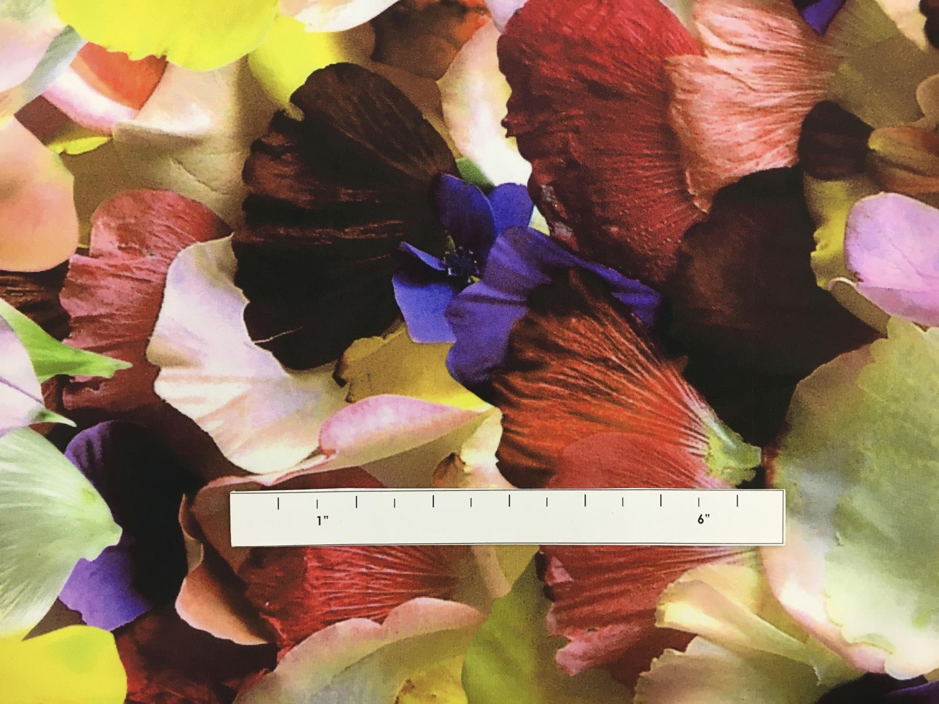 Jakob Schlaepfer Silk Crepe de Chine Print with Photo Realistic Petals1