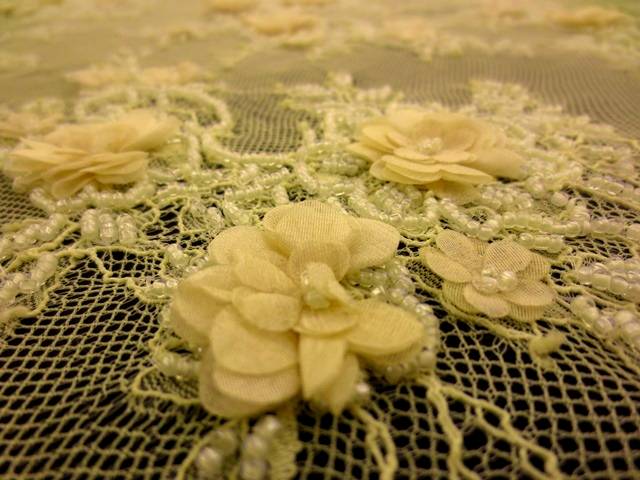 Beaded Chantilly Lace 2