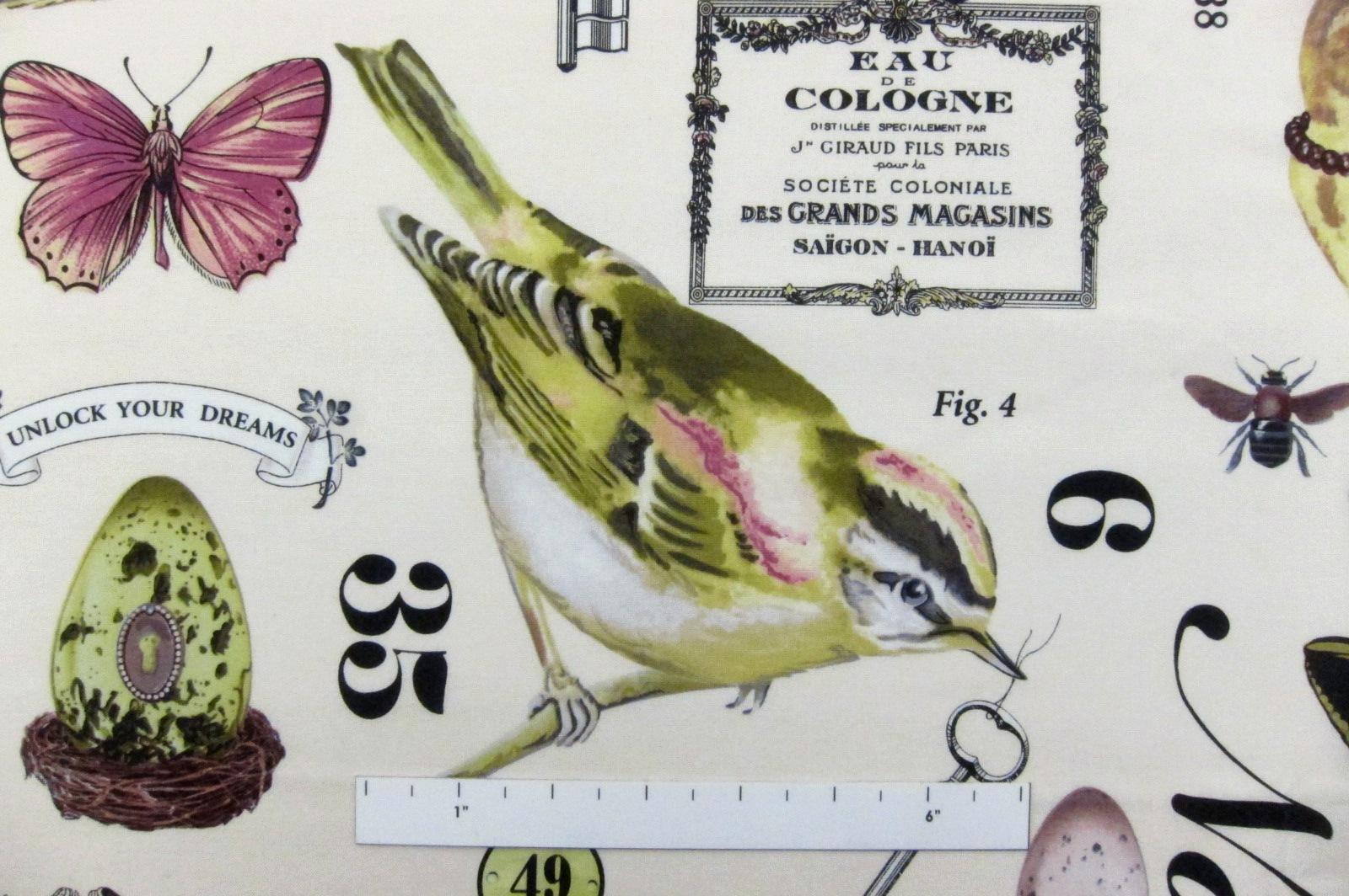 Cotton Broadcloth Print1