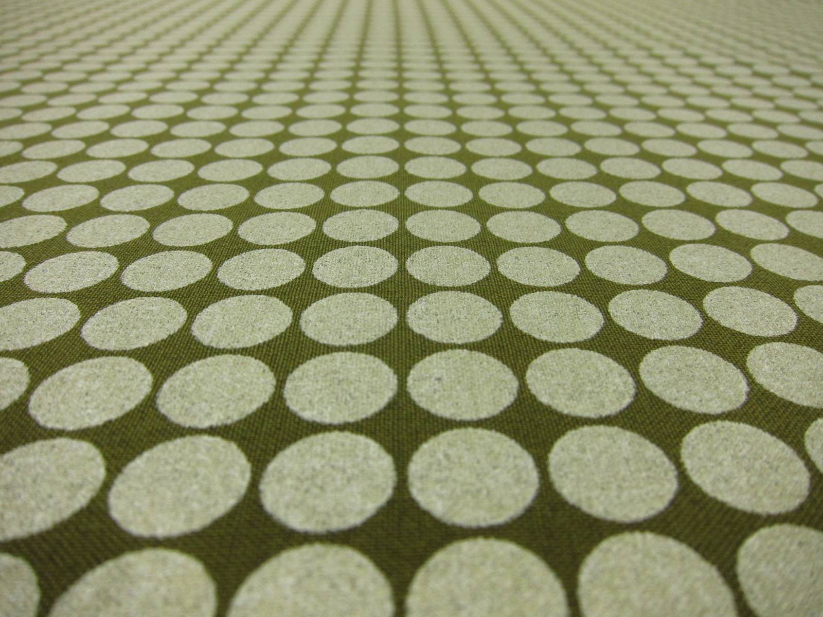 Cotton Broadcloth Print2