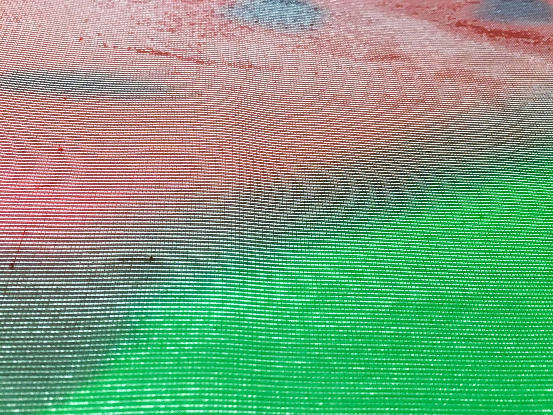 Printed Silk Lamé3