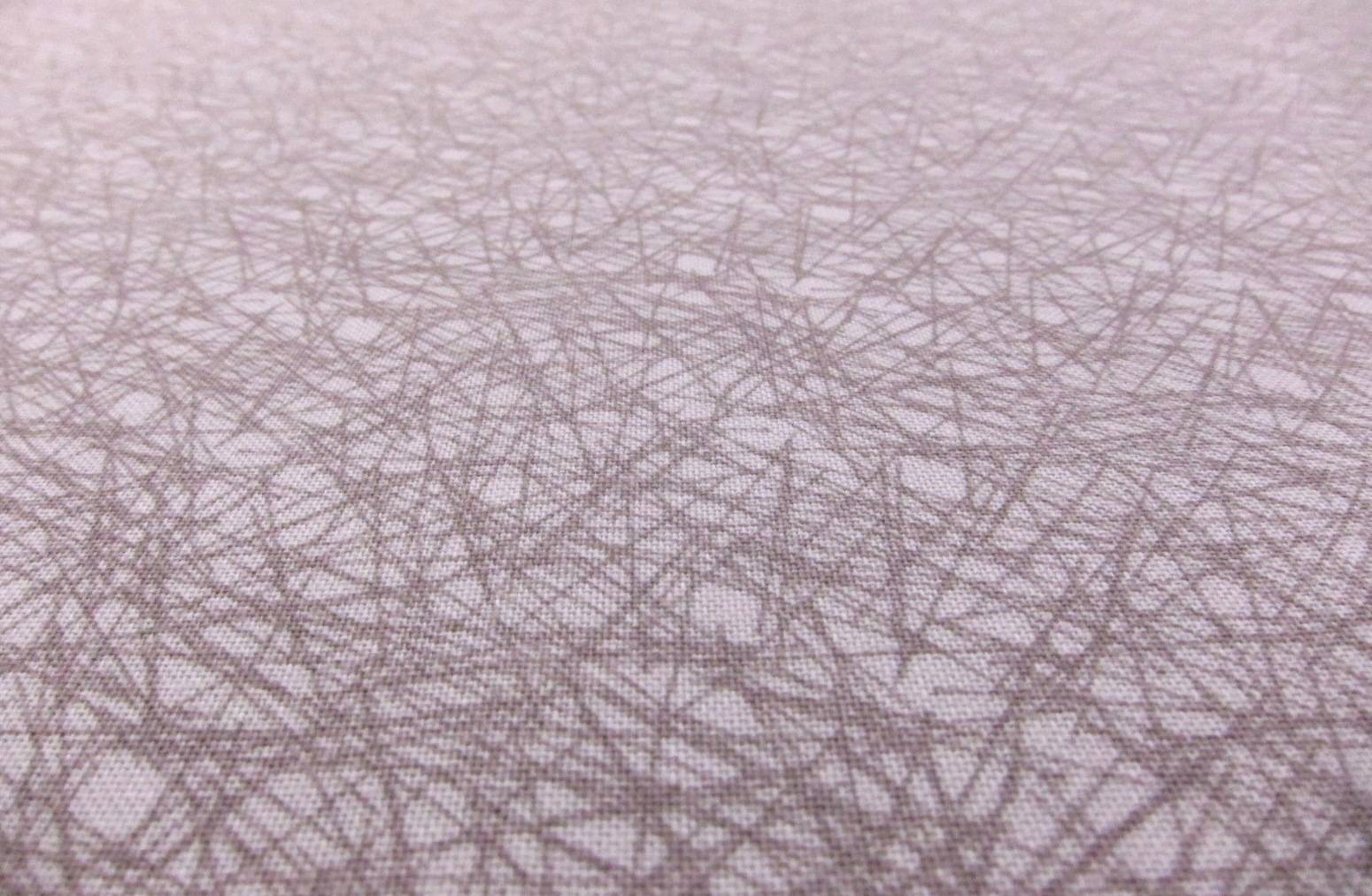 Cotton Broadcloth Print2