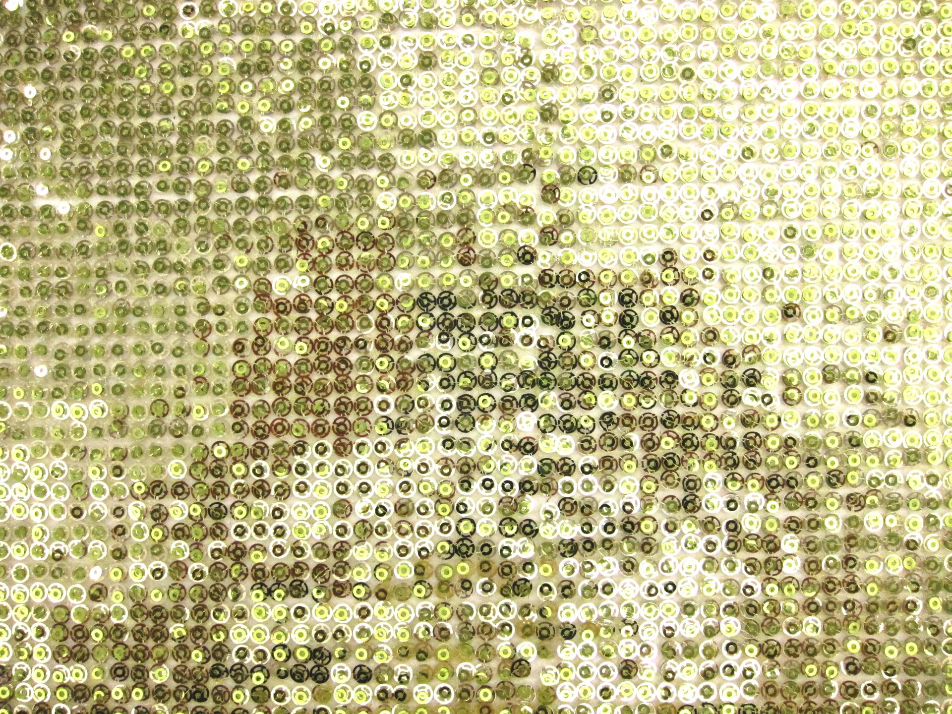 Layered Sequins on Novelty Mesh0