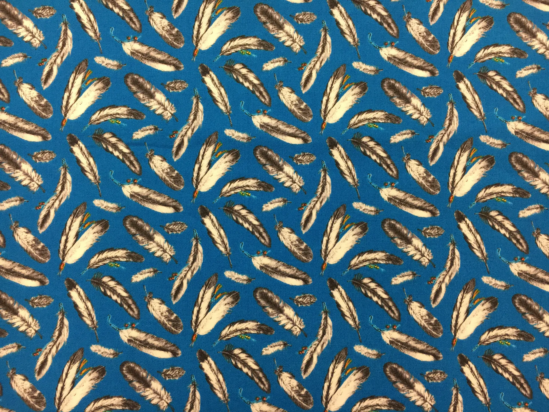 Cotton Broadcloth With Feathers Print0