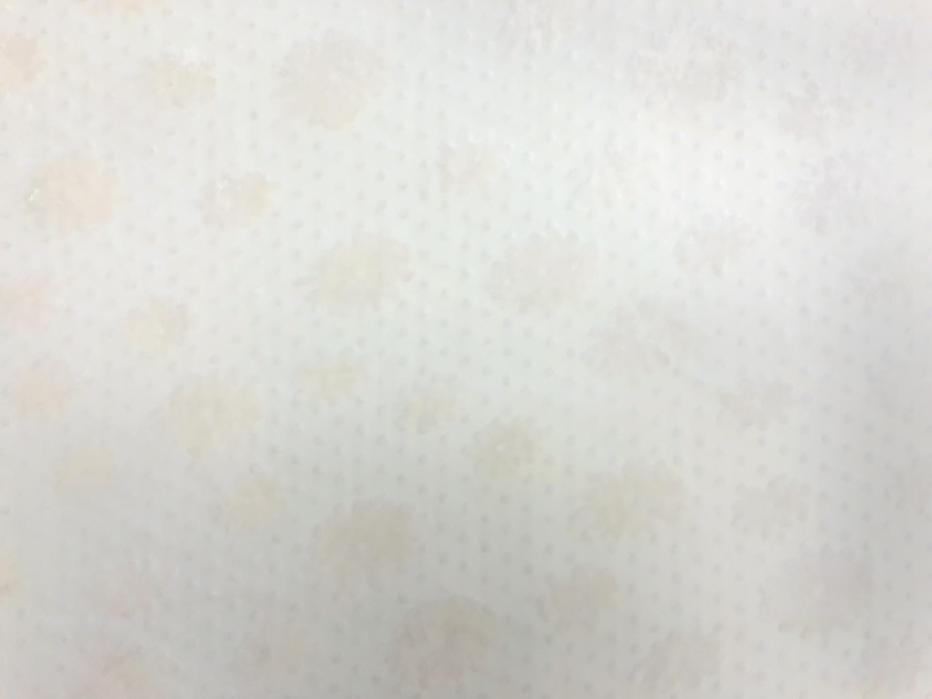 Dotted Floral White Burnout Velvet0