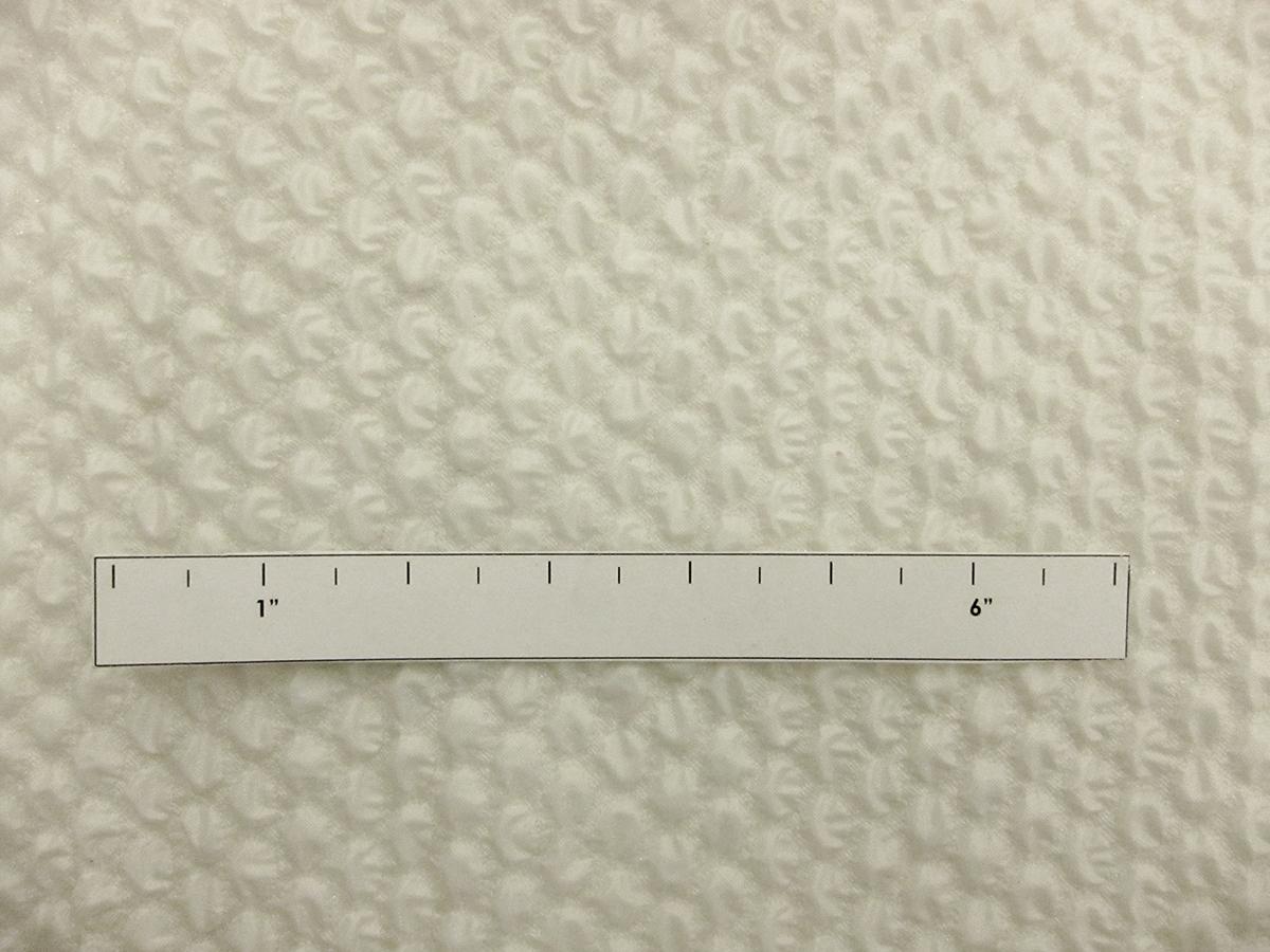 Silk Blend Organza Cloqué2