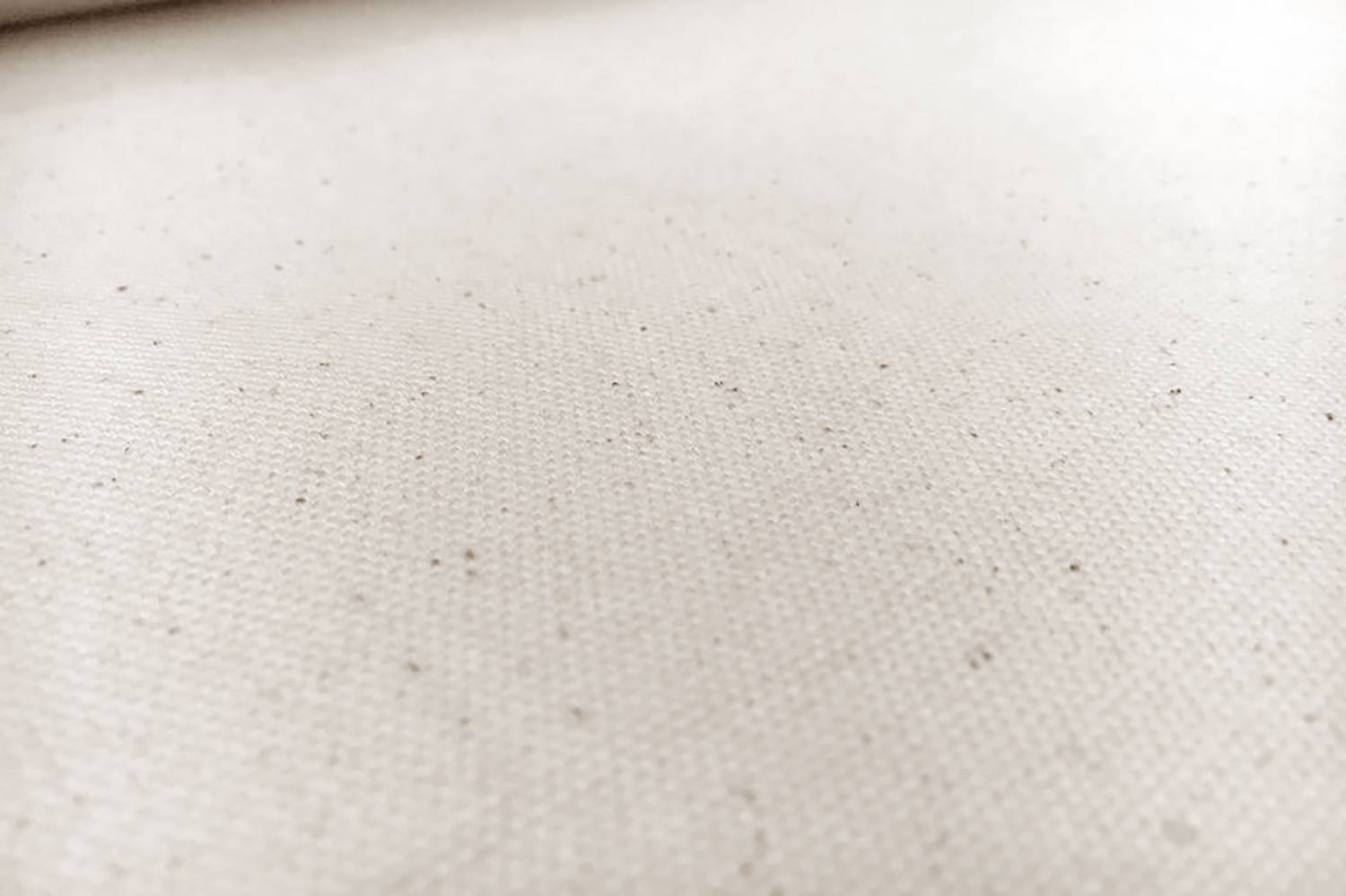10oz Organic Cotton Canvas in Natural0