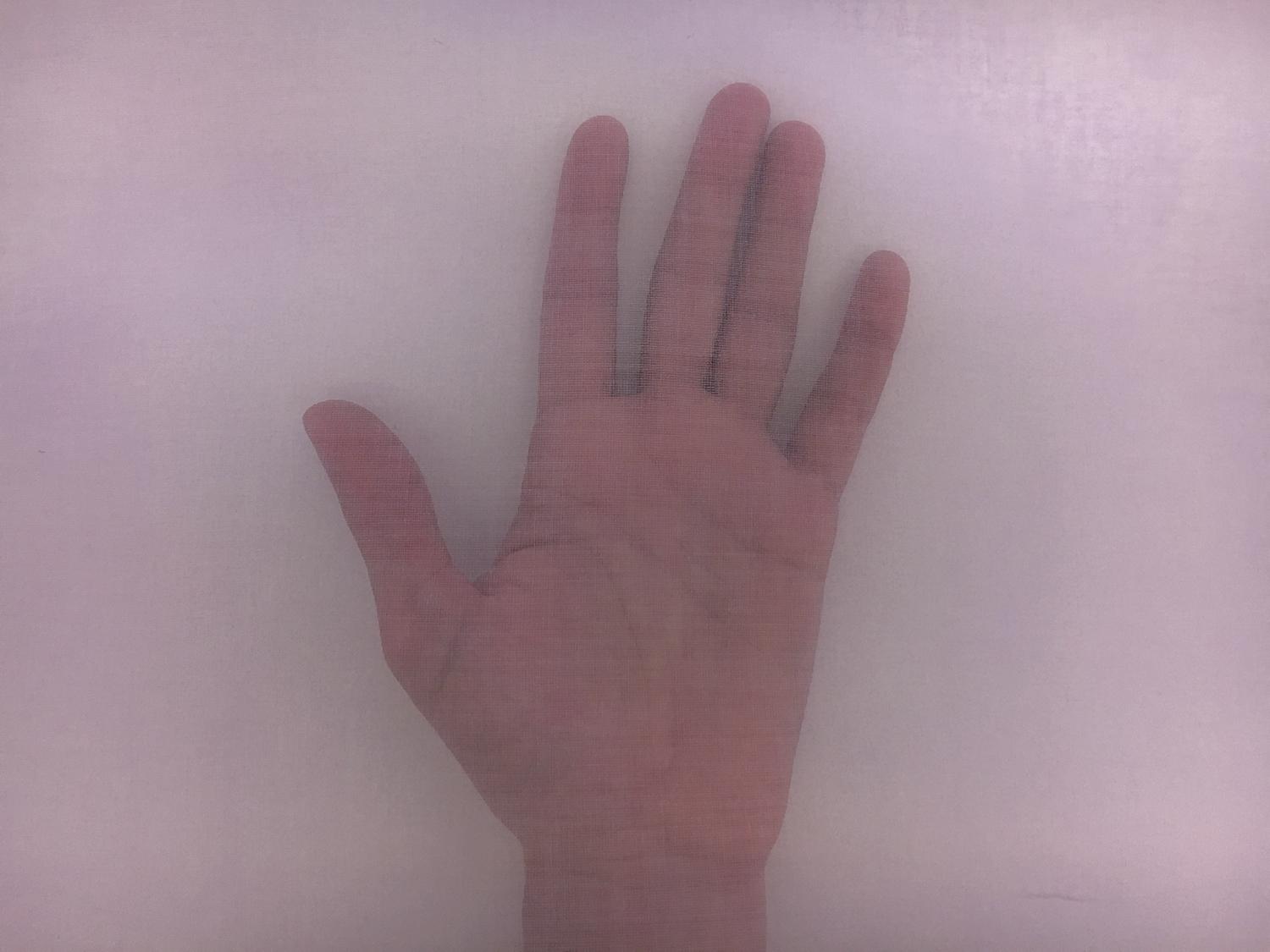 Swiss Cotton Organdy in Lavender1