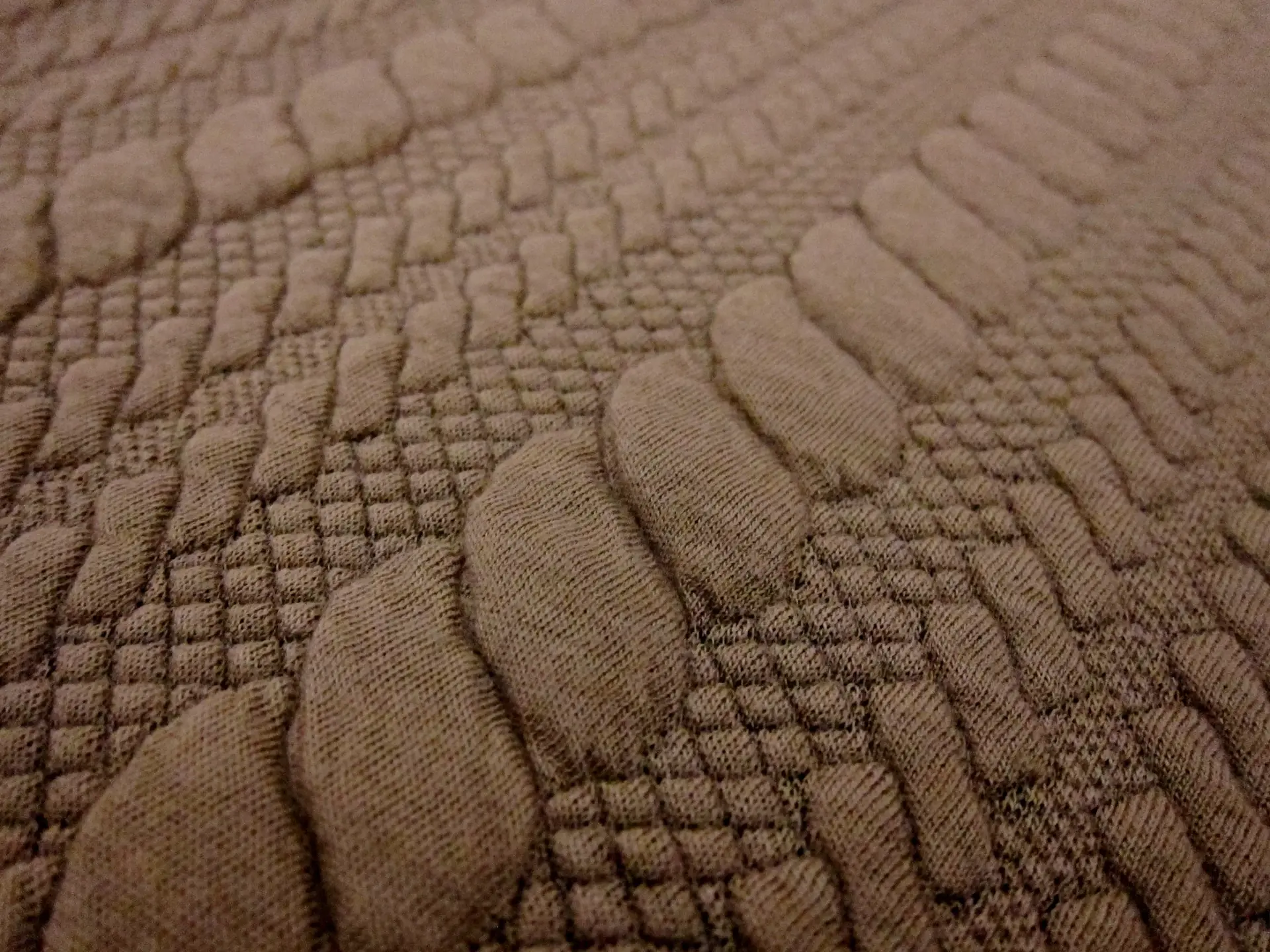 Polyester Spandex Novelty Knit2