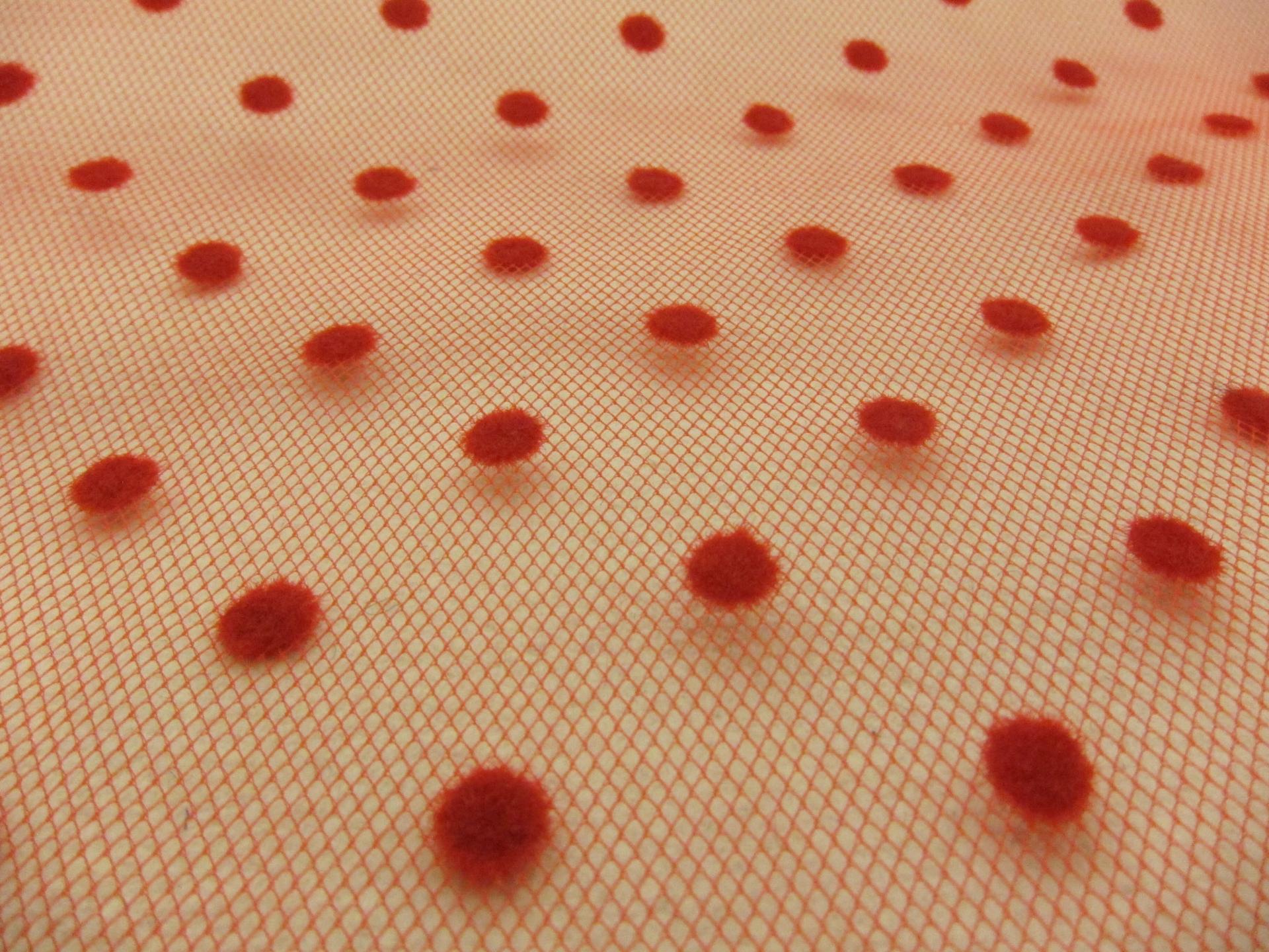 Flocking on Tulle0