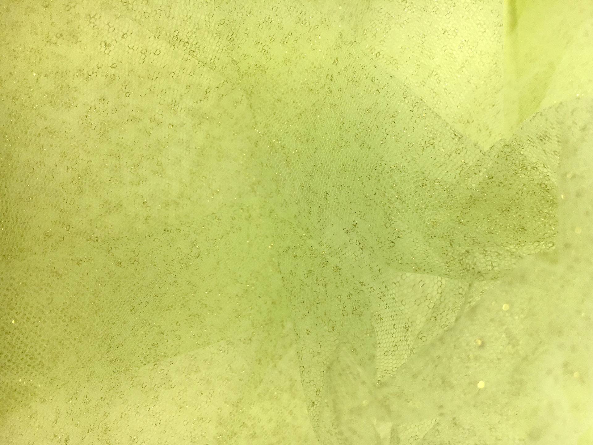 Metallic Nylon Tulle in Pistacchio and Gold0