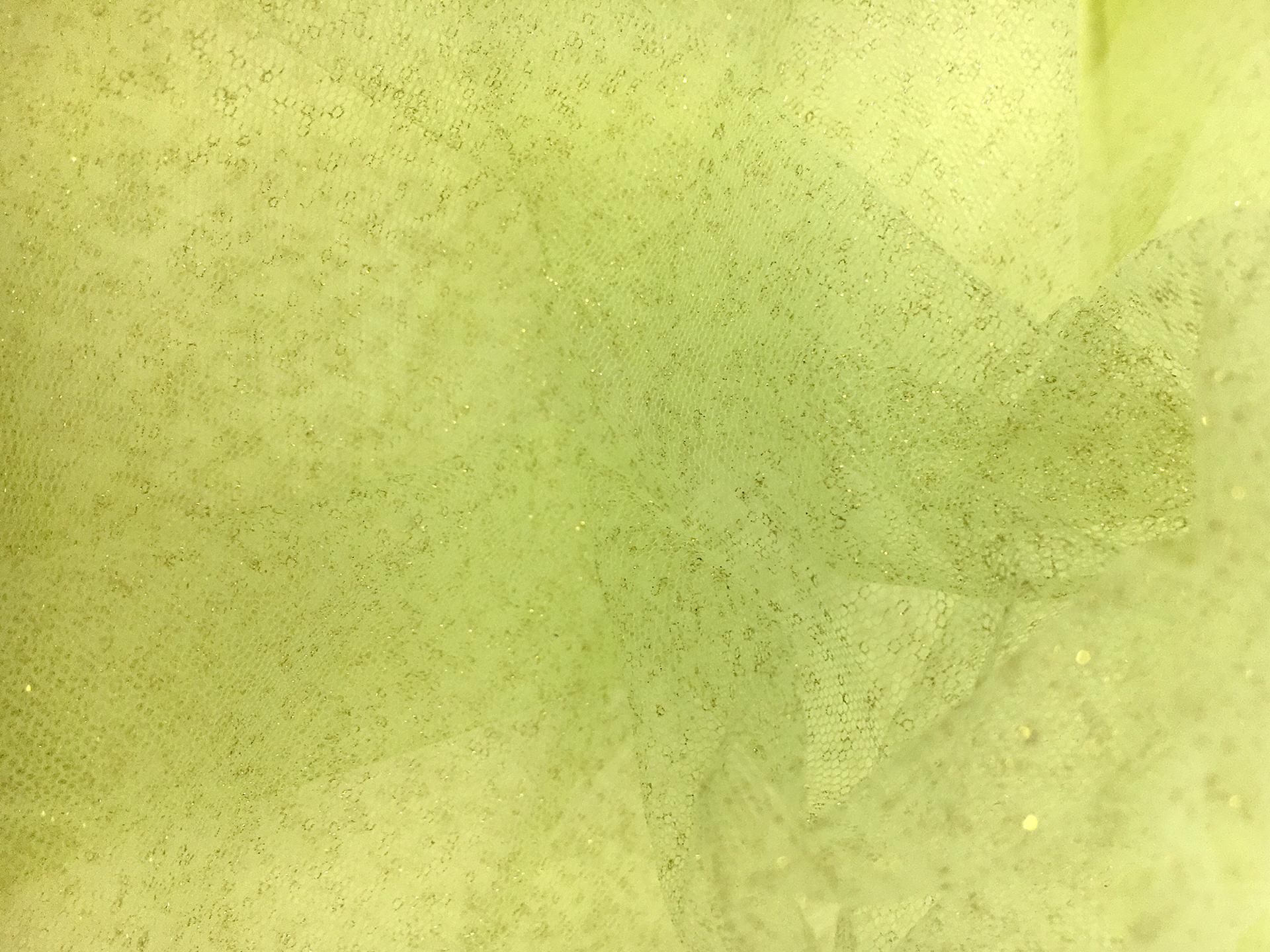 Metallic Nylon Tulle in Pistacchio and Gold