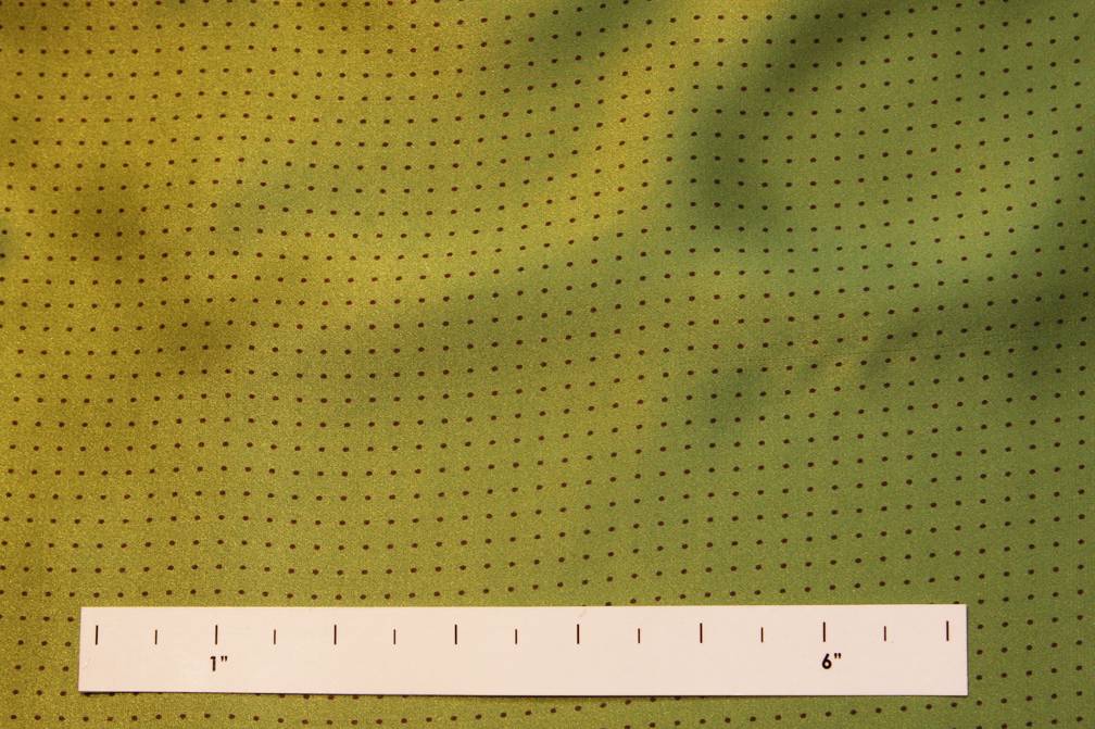 Printed Silk Charmeuse0