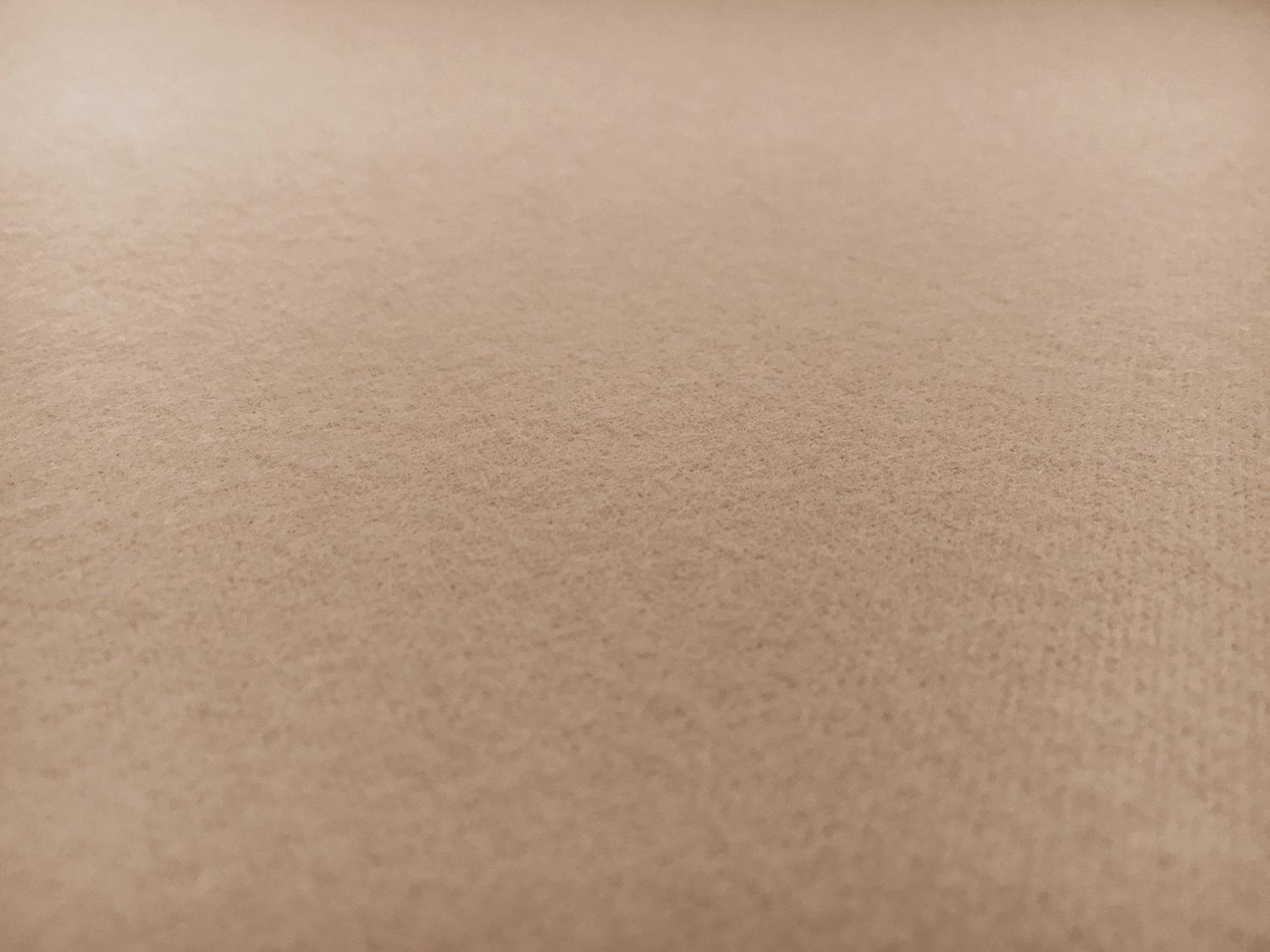 Cotton 2-Ply Flannel in Tan