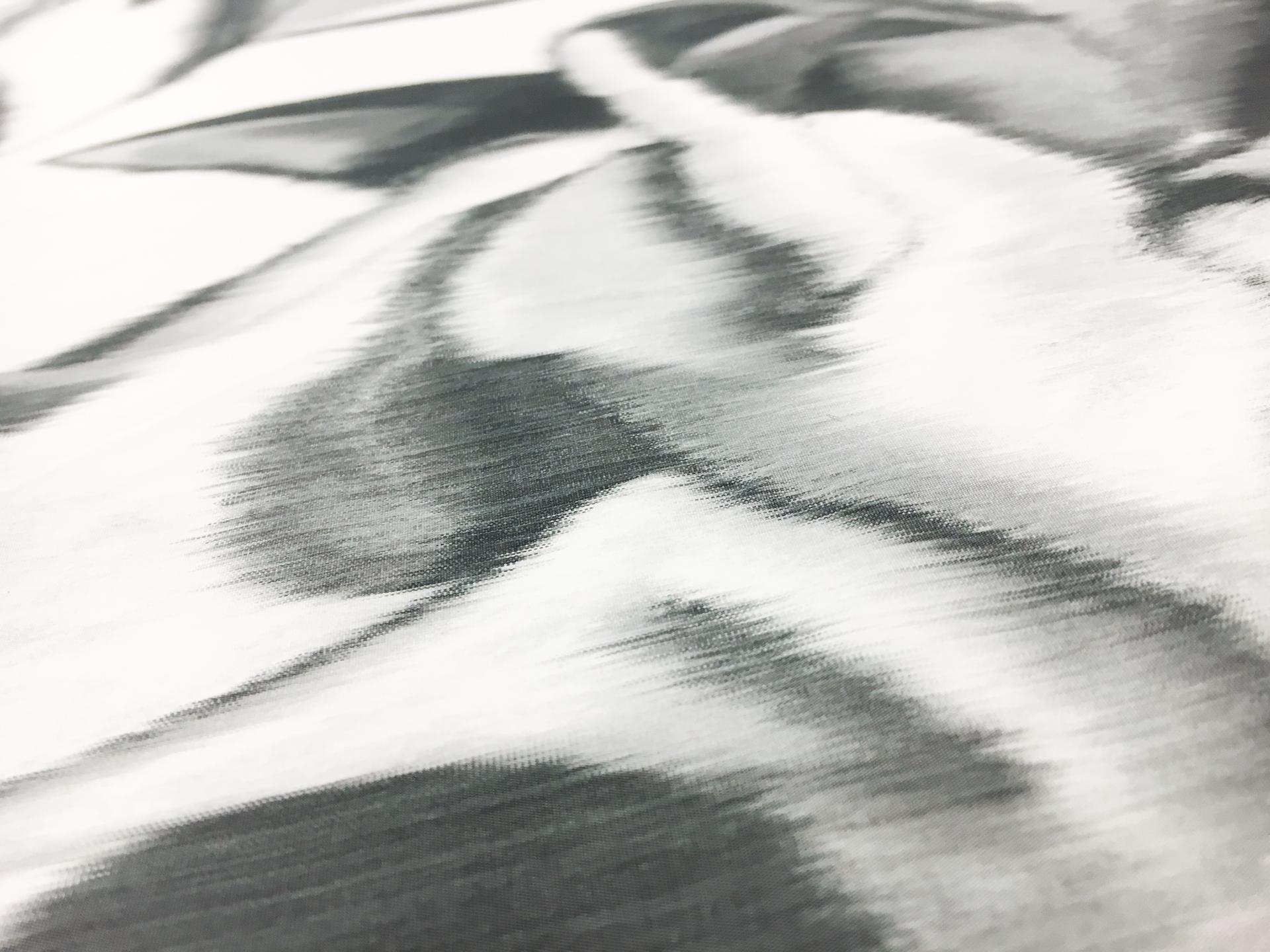 Tom Ford Warp Printed Silk Taffeta with Large Roses2