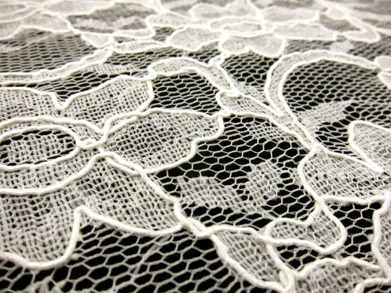 Cotton Nylon Alençon Lace2