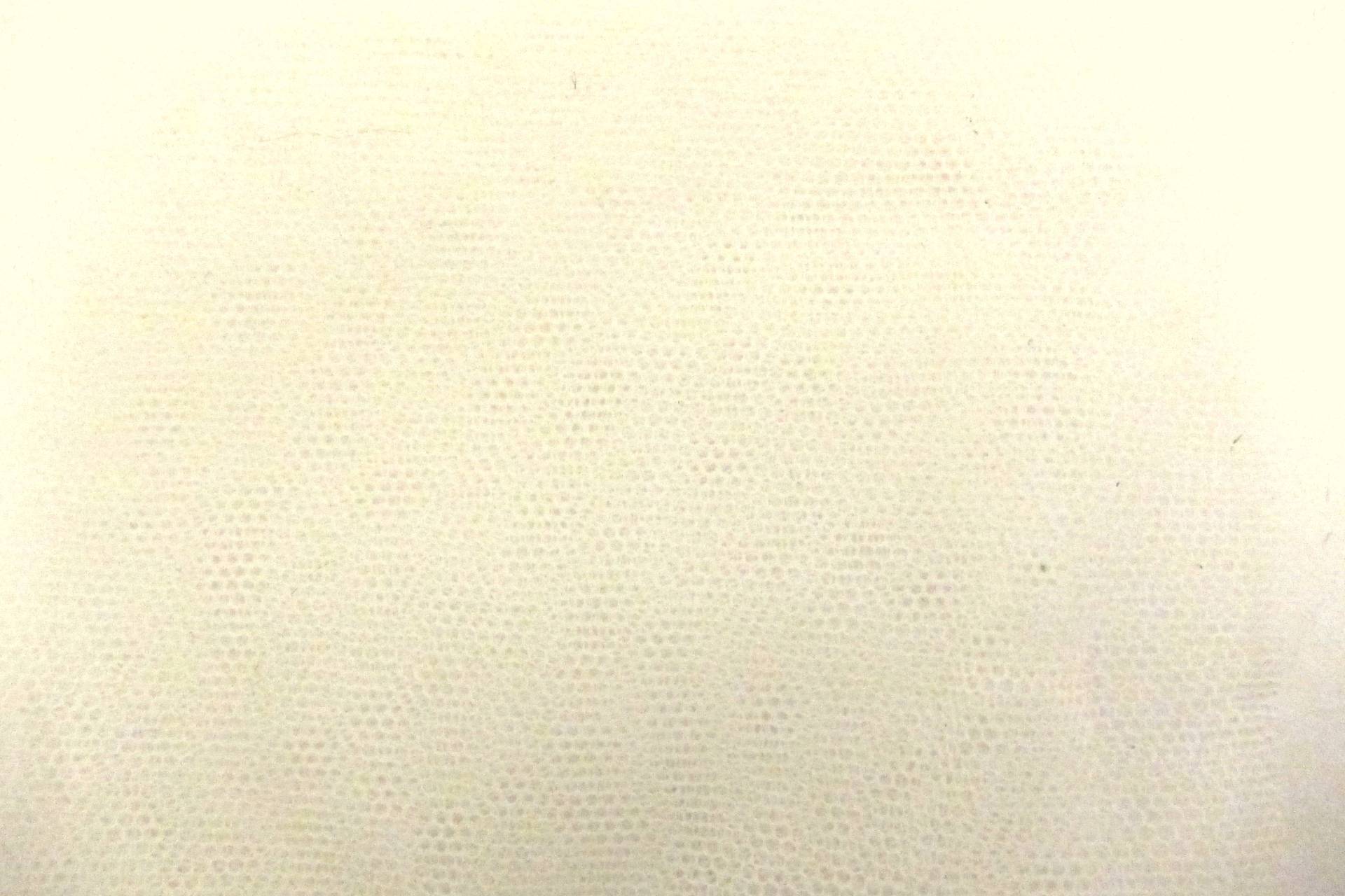 Italian Nylon Tulle in Avorio0