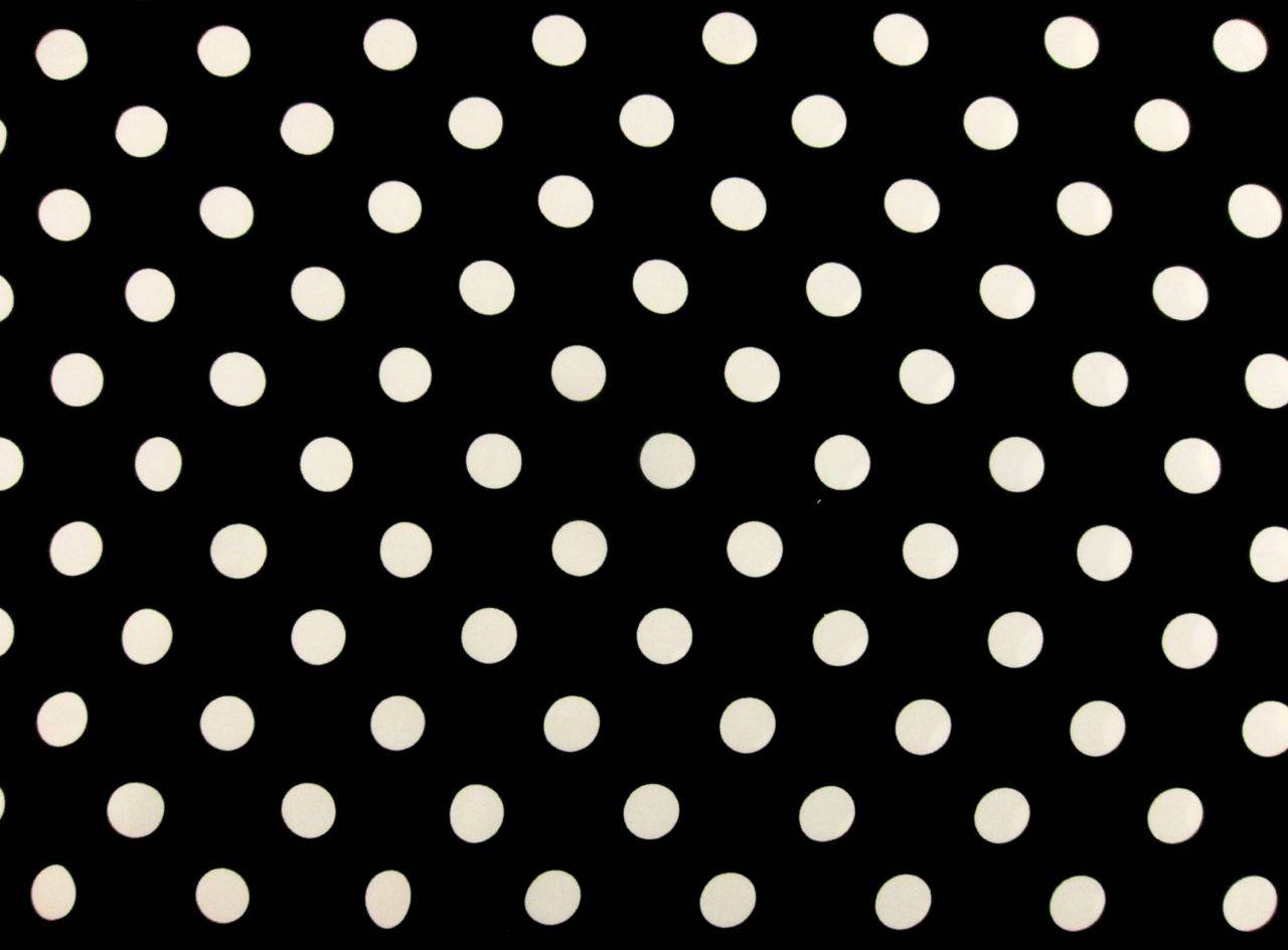 Printed Silk Charmeuse0