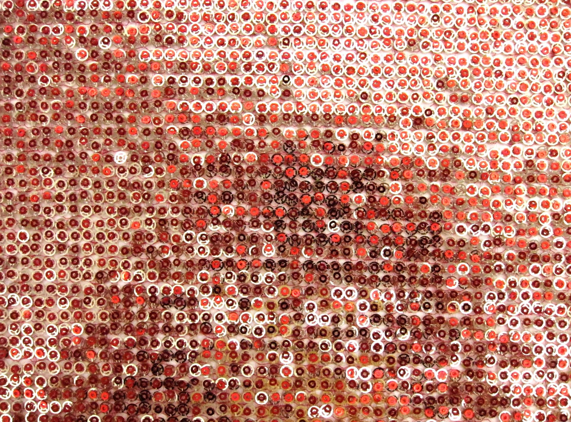 Layered Sequins on Novelty Mesh0