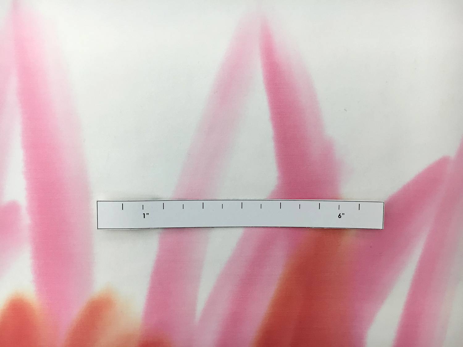 Hand Painted Silk Chiffon1