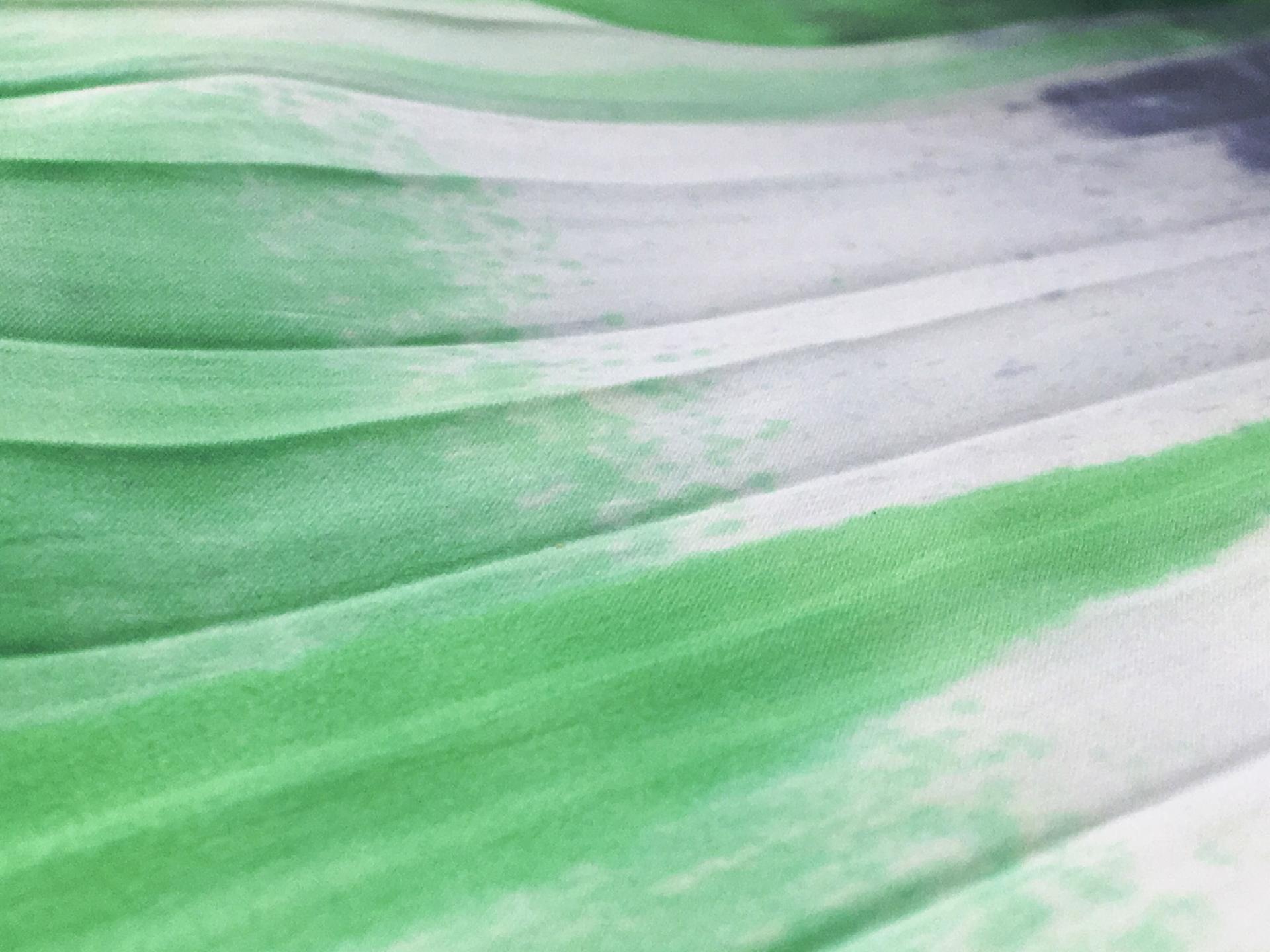 Pleated Printed Silk Charmeuse2